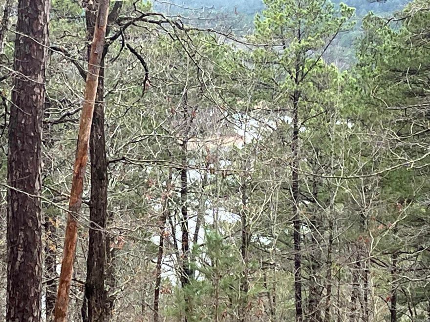 Located in our beautiful Hot Springs Village, this buildable, downward sloped lot has great mountain and lake views. From atop this lot, you can see Lake Largo, which is one of 11 lakes, 9 professionally designed golf courses for year-round golfing, miles of walking, riding and hiking trails in North America's largest gated community, I can introduce you to the top builders in the Village that can build your dream home, vacation rental or second home. Come experience paradise and Live the Life you Love! First-time buyers are subject to buy in fee of $300.00 to be paid at closing.