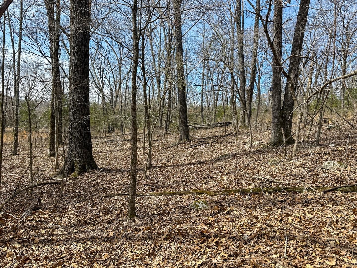 Metes & Bounds - Land