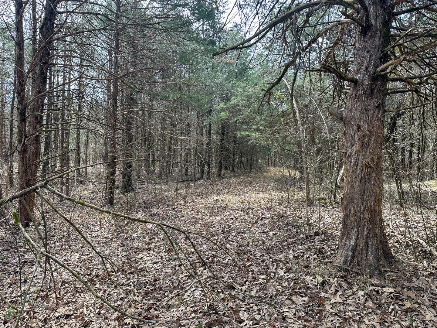 Metes & Bounds - Land