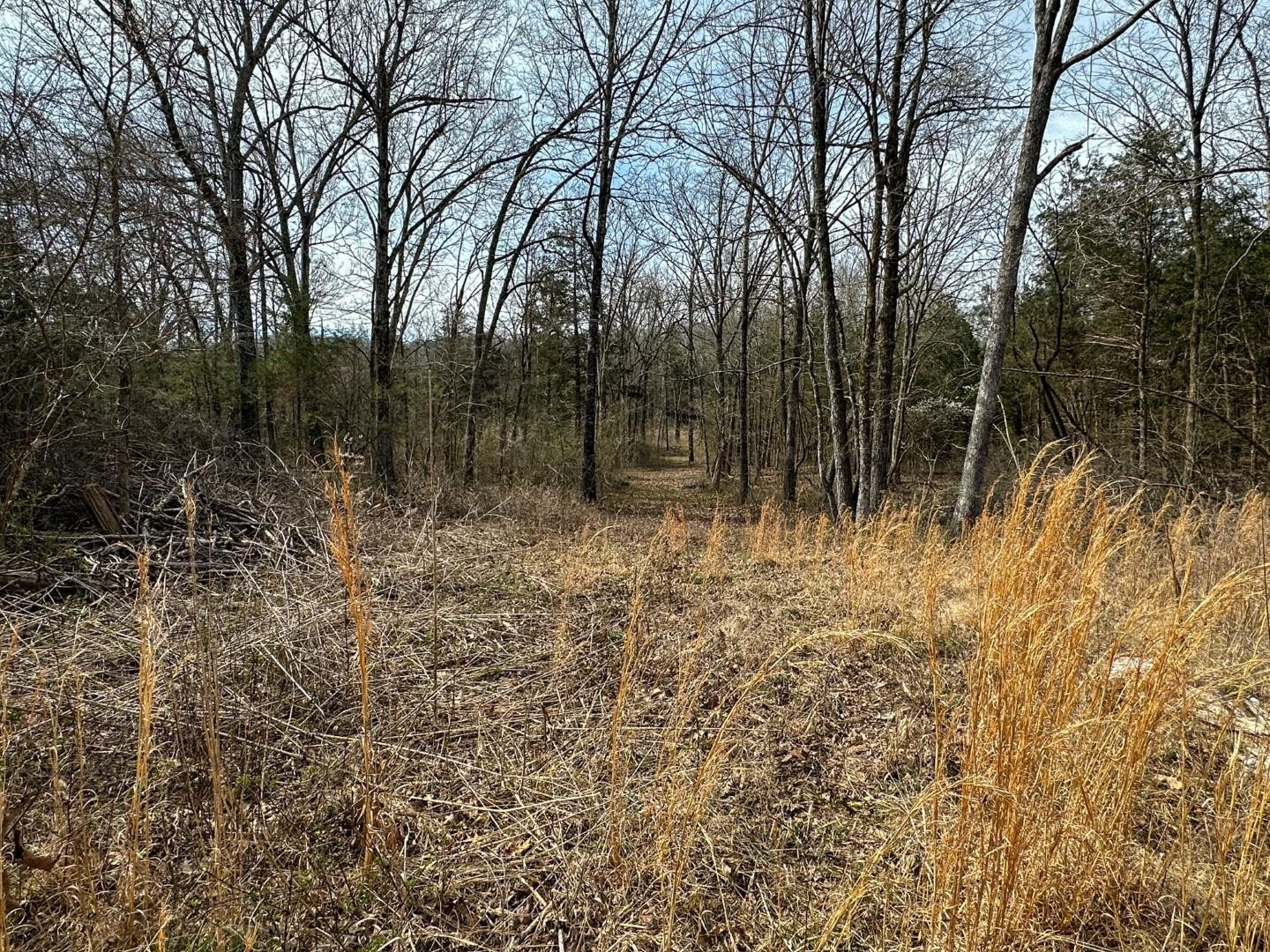 Metes & Bounds - Land