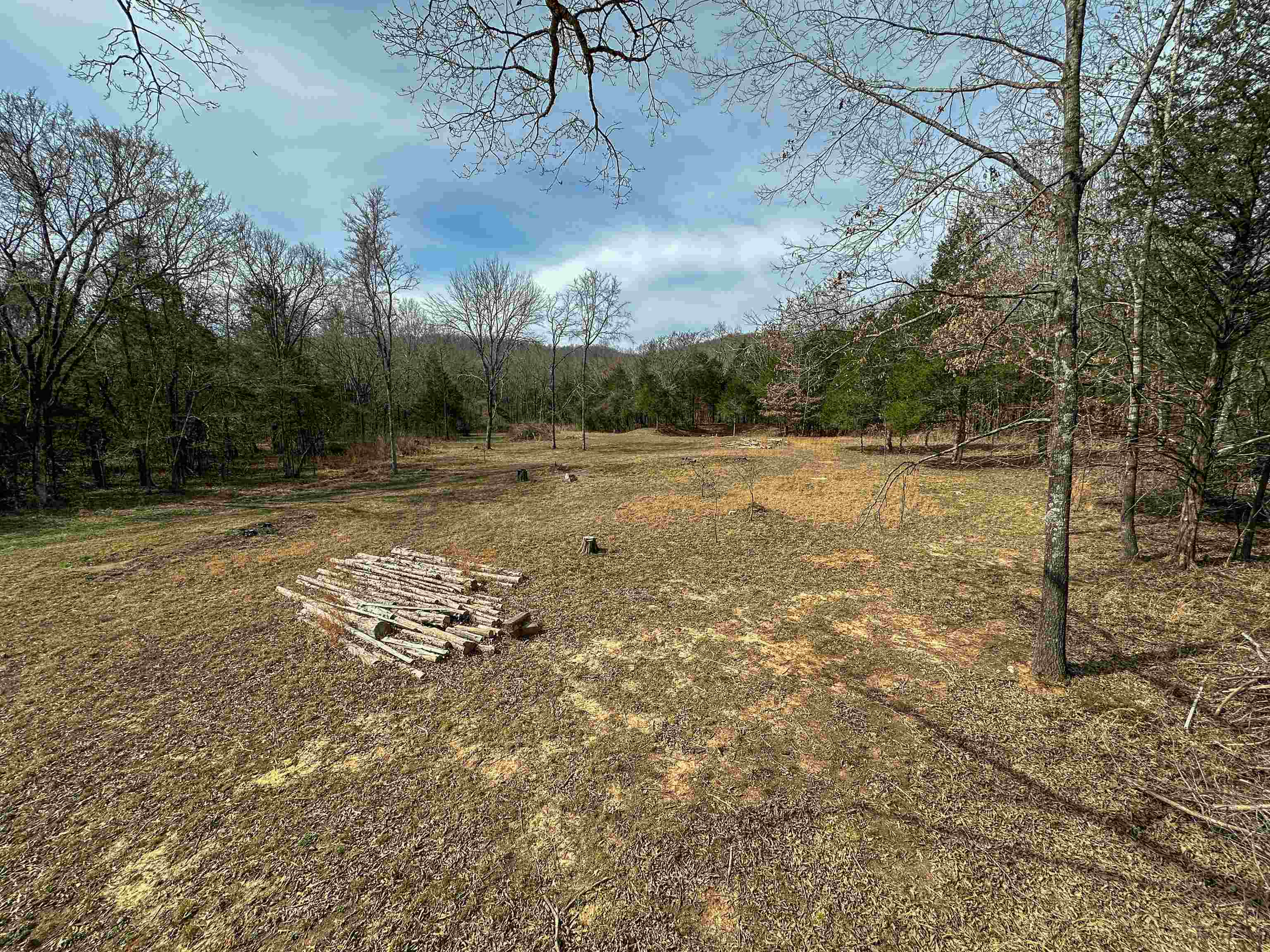 Build Your Dream: 33 Acres with Hunting , Cleared Home-Sites, a Well and More! Discover 33.3 acres (more or less) of surveyed land, with clearly marked corners and multiple cleared home-sites. This exceptional property offers a well and readily available electricity at the road. With numerous potential building sites, it's perfect for your dream home, a multi-family dwelling, or a secluded hunting cabin. Enjoy the tranquility and convenience of being just 1.5 miles from the renowned Spring River and only 5 minutes from town. The land is teeming with diverse wildlife and features established trails, creating a haven for nature enthusiasts and hunters. A small spring and several seasonal creeks enhance the property's natural beauty. Additionally, several deer stands are included. Whether you envision a hilltop estate, multiple residences, or a rustic retreat, this Ozark Foothills setting provides the perfect canvas for your aspirations. Don't miss this unique opportunity – call today!"