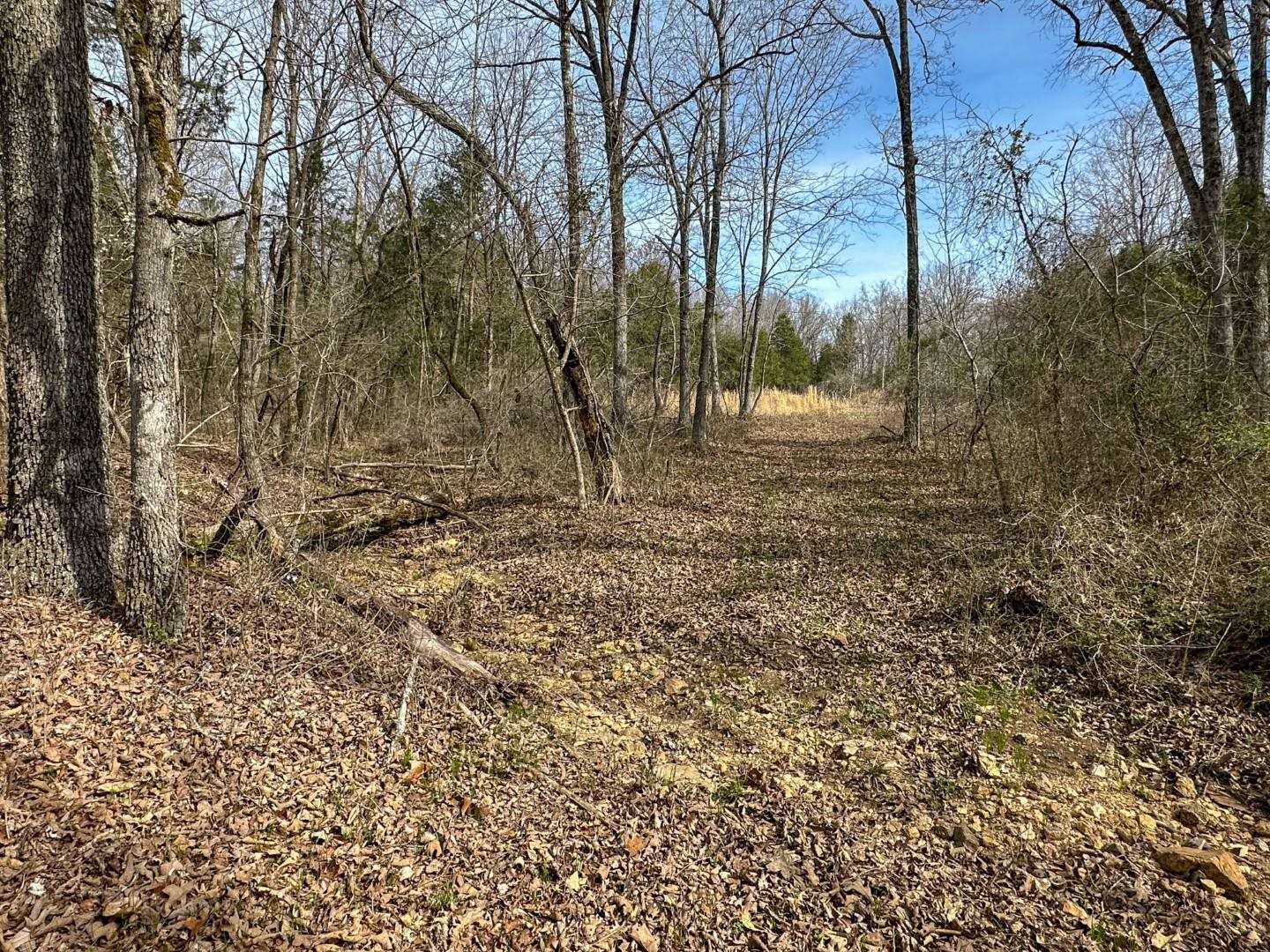 Metes & Bounds - Land