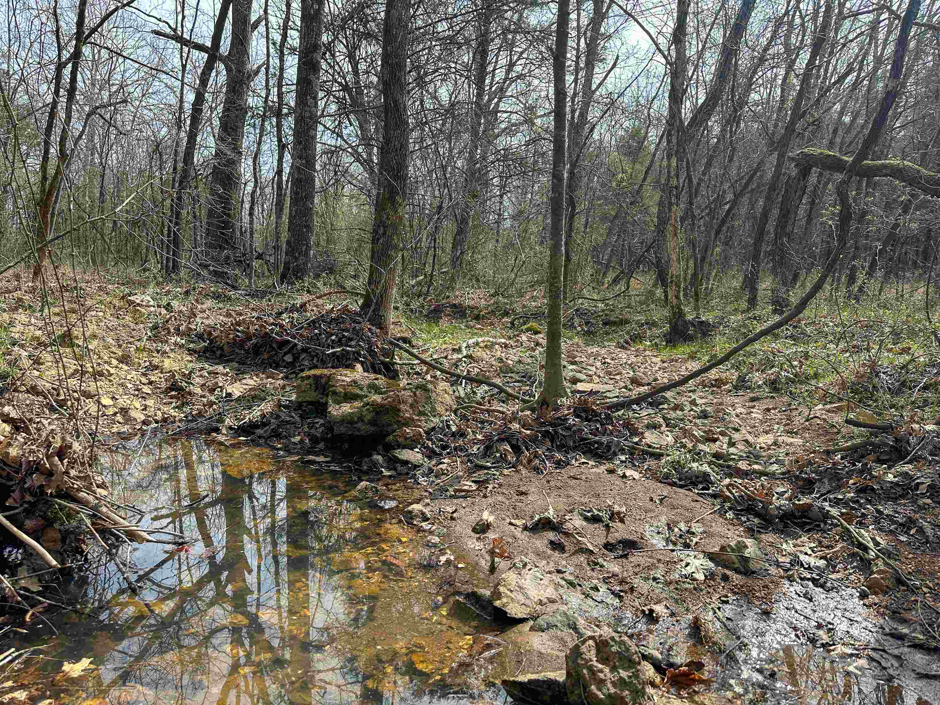 Metes & Bounds - Land