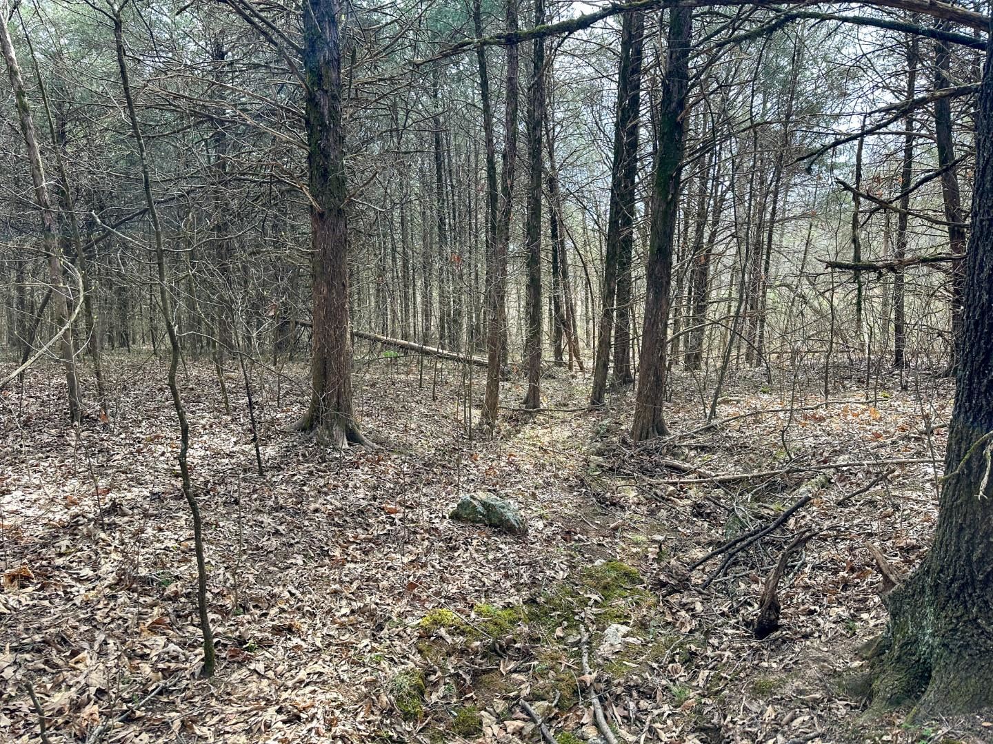 Metes & Bounds - Land