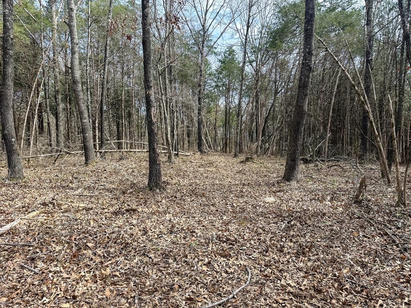 Metes & Bounds - Land