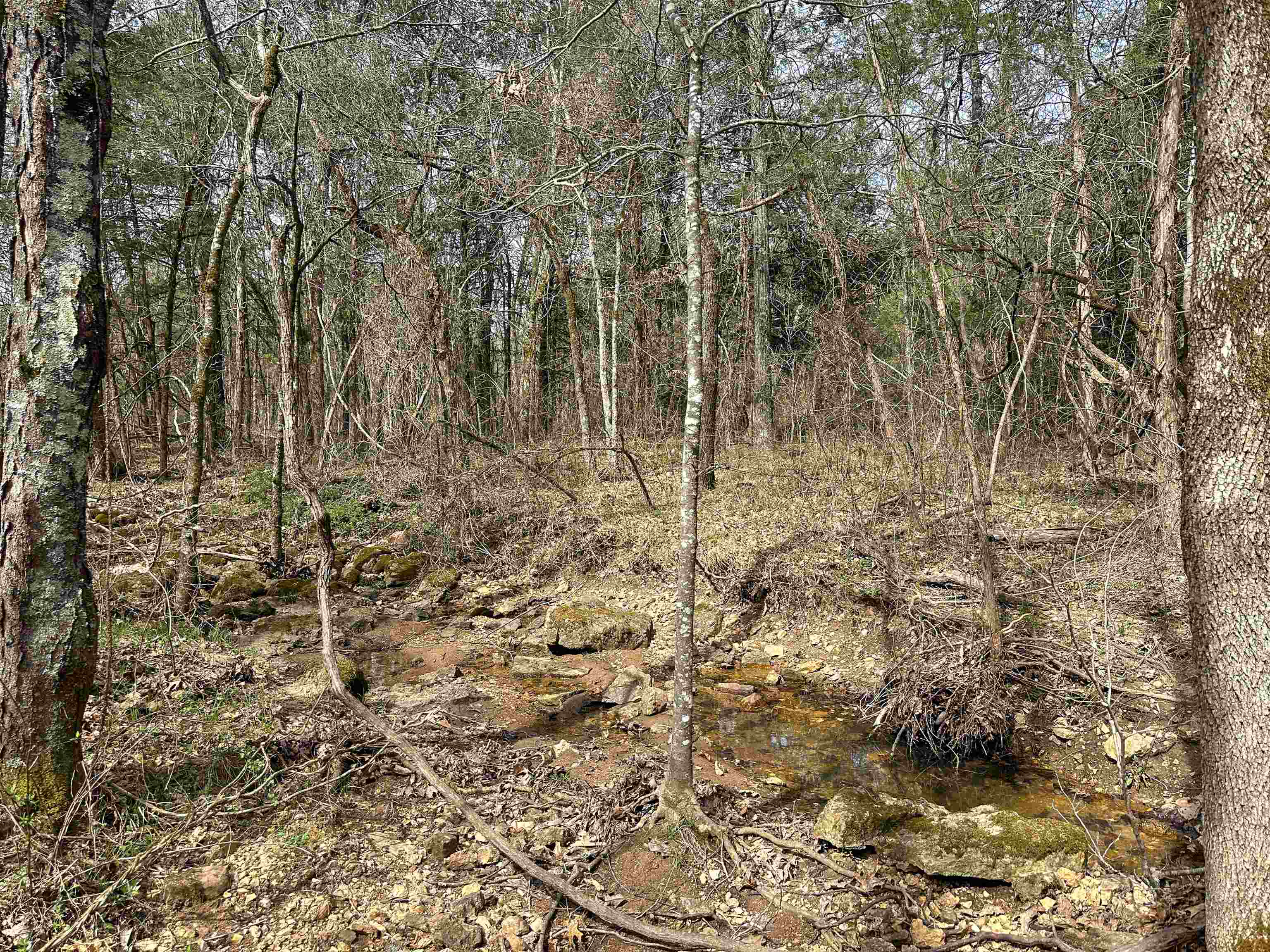 Metes & Bounds - Land