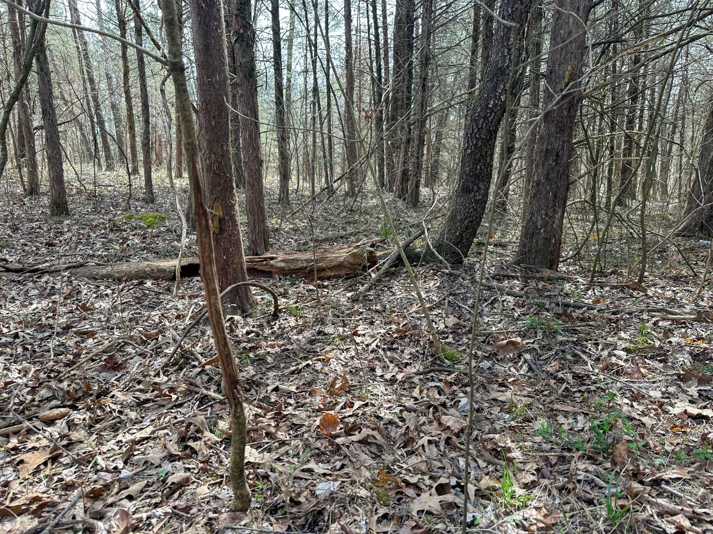 Metes & Bounds - Land