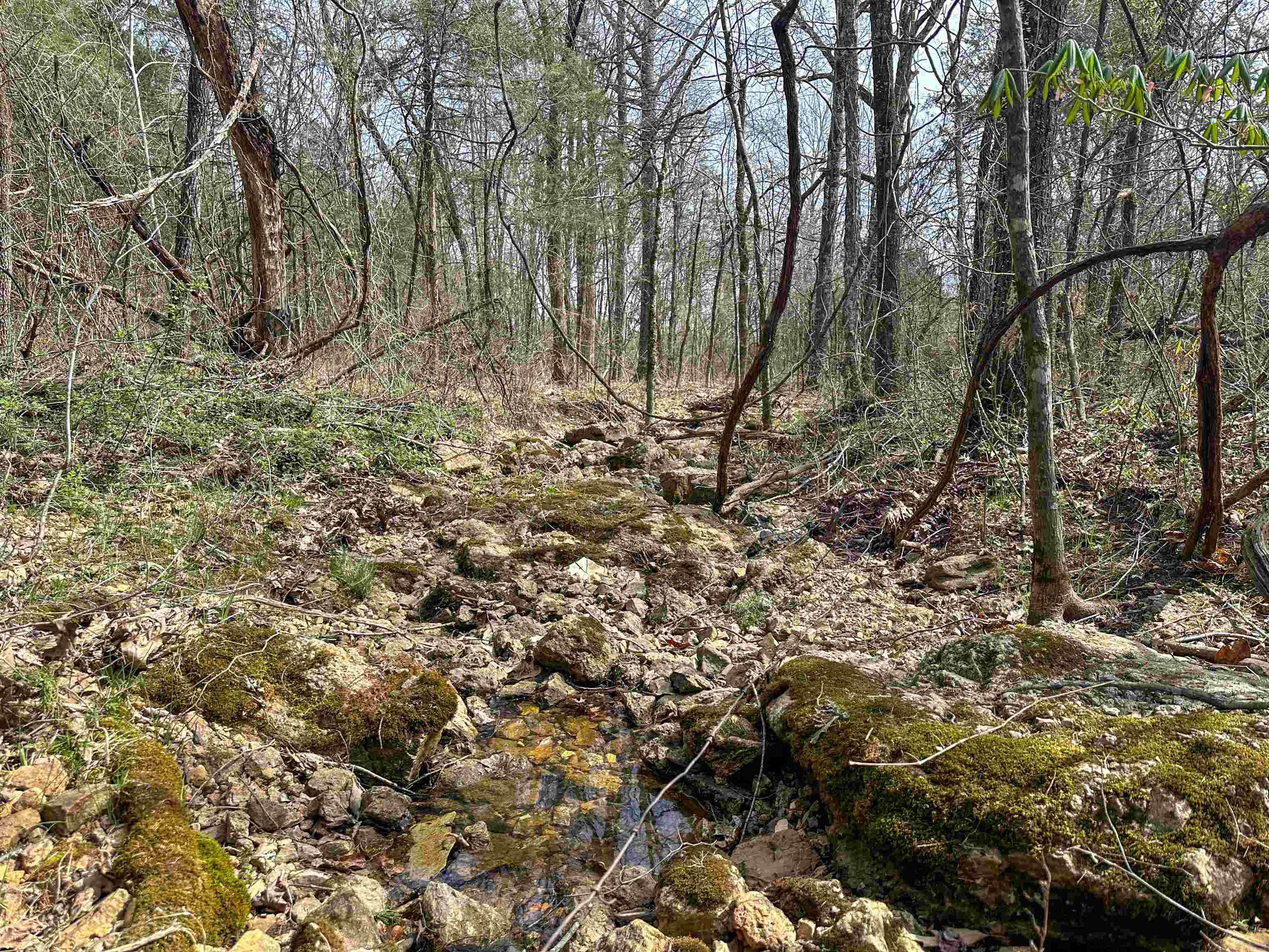 Metes & Bounds - Land