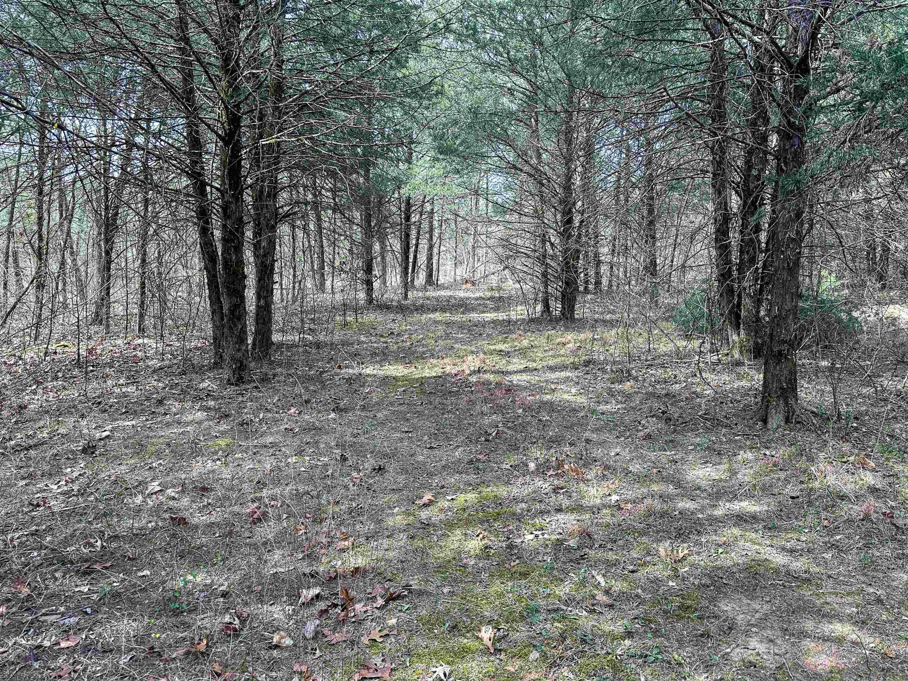 Metes & Bounds - Land