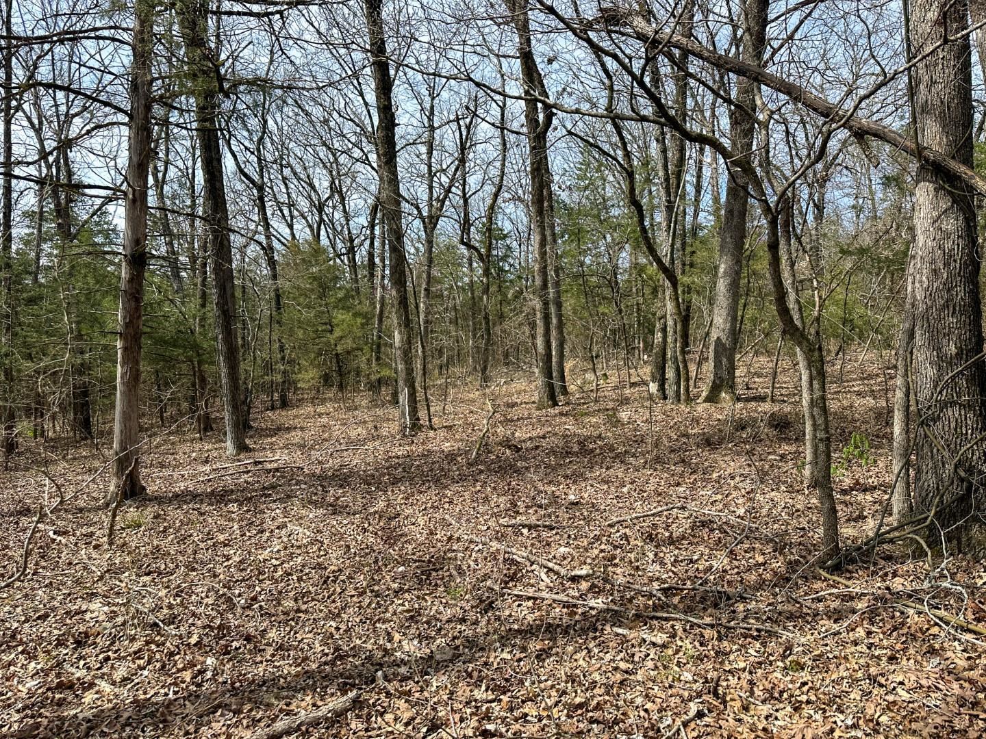 Metes & Bounds - Land