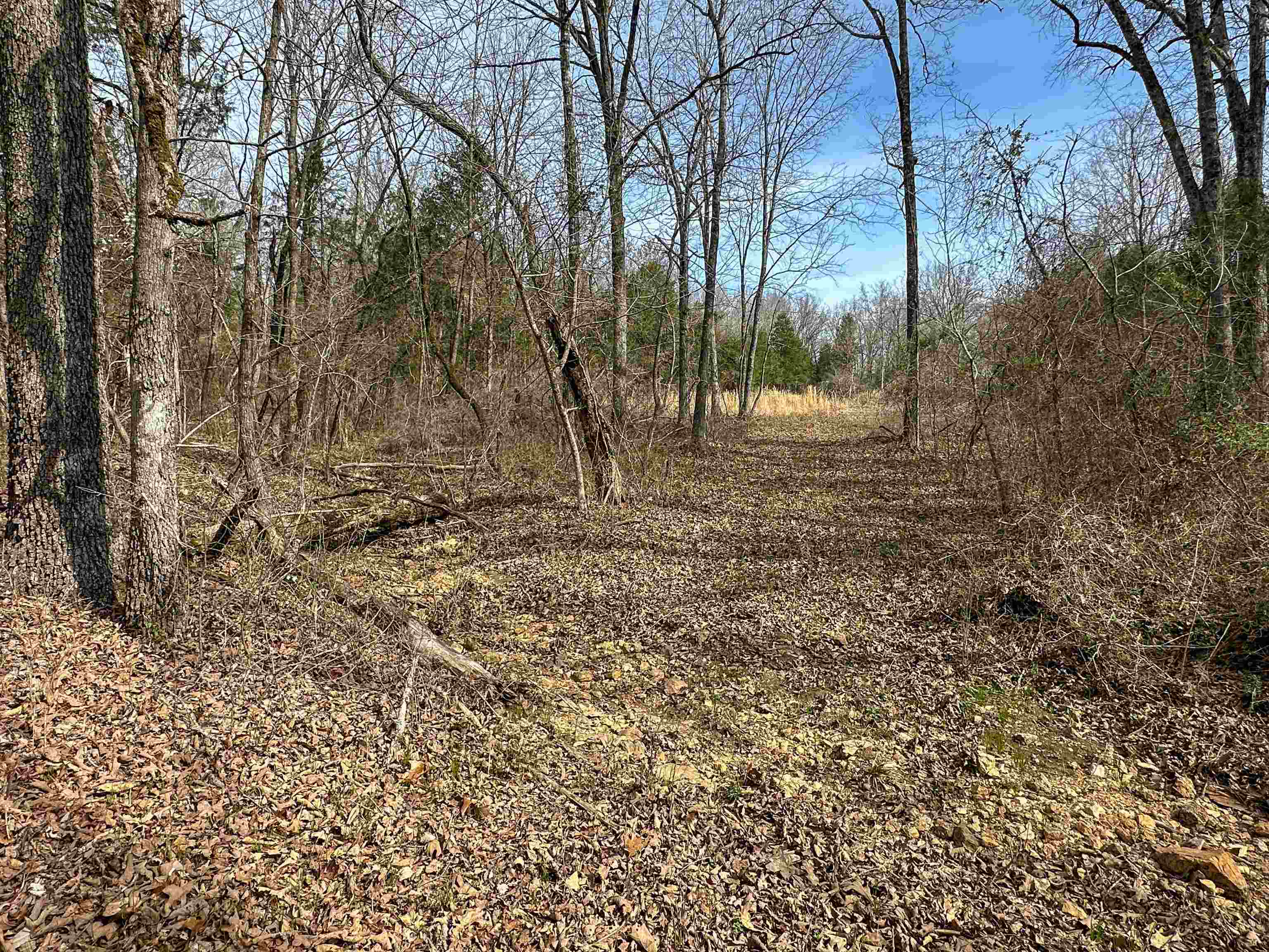 Metes & Bounds - Land