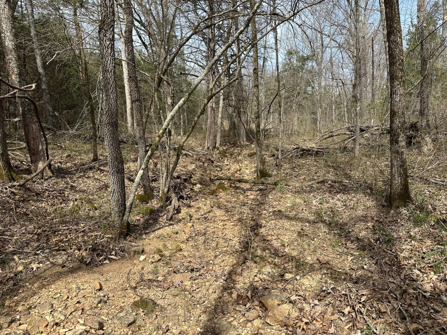 Metes & Bounds - Land