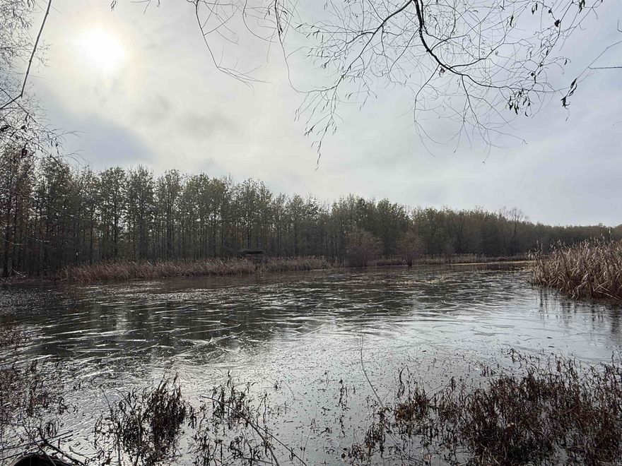 Prime Hunting Property with Duck Pond — Just 40 Miles from Memphis! This 143 acre property has been in the same family since 1901 and is a rare find in Crittenden County, Arkansas.   Discover your opportunity to own a premier 143 acre recreational tract located just 40 miles from Memphis, Tennessee. Nestled in a prime wildlife corridor between Cloar Road and Highway 118 north of Earle, Arkansas, this exceptional parcel offers the perfect blend of seclusion, accessibility, and hunting potential.  At the heart of the property lies a well-established 6-acre duck pond, making this a true waterfowl haven during the migration season. The duck pond is around two feet deep which ensures a safe and easily accesible duck hunting spot. Great for kids or for an elderly hunter! Surrounded by thick timber and diverse habitat, the land also supports a healthy deer population, offering excellent whitetail hunting with multiple stand and food plot location options throughout. The ground surrounding the land is enrolled in a CRP program CP 23-A Non Floodplain Wetland Restoration. This provides an income of $9,047 a year with easy management.  Call for more information!