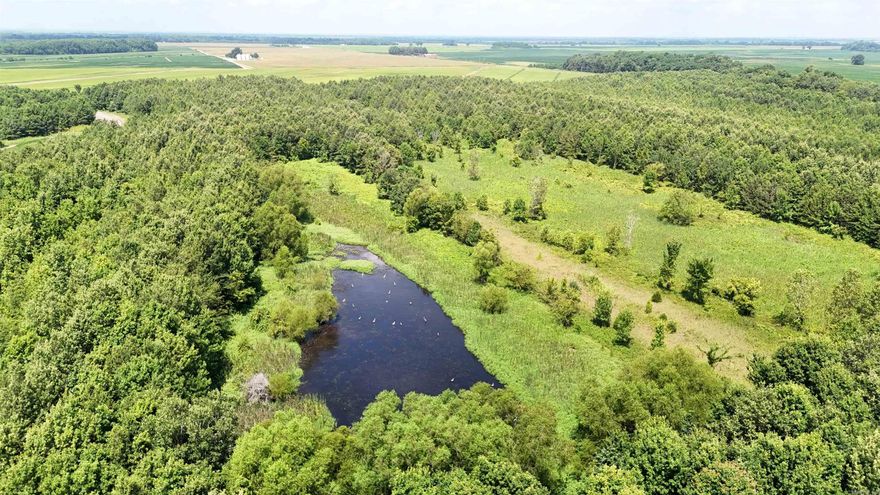 Prime Hunting Property with Duck Pond — Just 40 Miles from Memphis! This 143 acre property has been in the same family since 1901 and is a rare find in Crittenden County, Arkansas.   Discover your opportunity to own a premier 143 acre recreational tract located just 40 miles from Memphis, Tennessee. Nestled in a prime wildlife corridor between Cloar Road and Highway 118 north of Earle, Arkansas, this exceptional parcel offers the perfect blend of seclusion, accessibility, and hunting potential.  At the heart of the property lies a well-established 6-acre duck pond, making this a true waterfowl haven during the migration season. The duck pond is around two feet deep which ensures a safe and easily accesible duck hunting spot. Great for kids or for an elderly hunter! Surrounded by thick timber and diverse habitat, the land also supports a healthy deer population, offering excellent whitetail hunting with multiple stand and food plot location options throughout. The ground surrounding the land is enrolled in a CRP program CP 23-A Non Floodplain Wetland Restoration. This provides an income of $9,047 a year with easy management.  Call for more information!