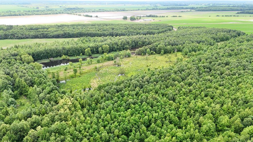 Prime Hunting Property with Duck Pond — Just 40 Miles from Memphis! This 143 acre property has been in the same family since 1901 and is a rare find in Crittenden County, Arkansas.   Discover your opportunity to own a premier 143 acre recreational tract located just 40 miles from Memphis, Tennessee. Nestled in a prime wildlife corridor between Cloar Road and Highway 118 north of Earle, Arkansas, this exceptional parcel offers the perfect blend of seclusion, accessibility, and hunting potential.  At the heart of the property lies a well-established 6-acre duck pond, making this a true waterfowl haven during the migration season. The duck pond is around two feet deep which ensures a safe and easily accesible duck hunting spot. Great for kids or for an elderly hunter! Surrounded by thick timber and diverse habitat, the land also supports a healthy deer population, offering excellent whitetail hunting with multiple stand and food plot location options throughout. The ground surrounding the land is enrolled in a CRP program CP 23-A Non Floodplain Wetland Restoration. This provides an income of $9,047 a year with easy management.  Call for more information!