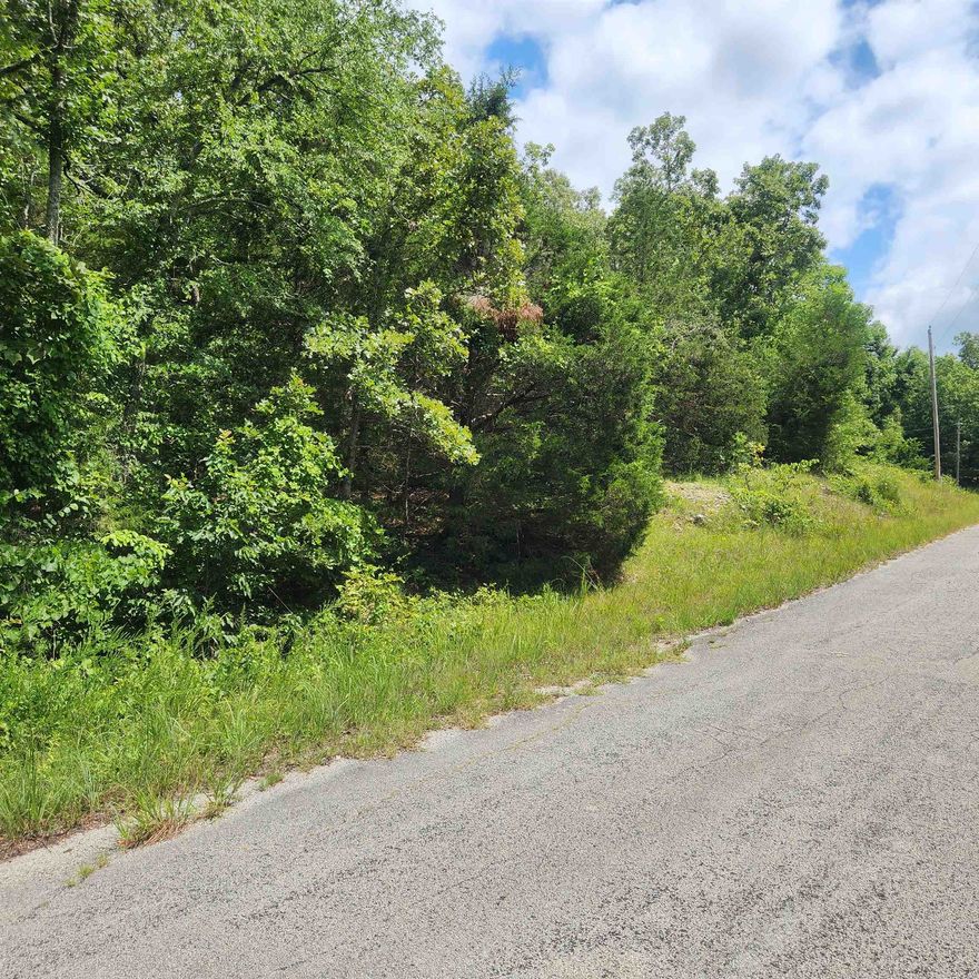 Wonderful and wooded lot in the heart of Cherokee Village. Secluded and away from it all. Buy this lot and pick your spot to build your dream home or just a getaway cabin. With ownership of this lot you have access to all the amenities of Cherokee Village such as the lakes and golf courses and Thunderbird Center and swimming pool, mini golf, parks, hiking trails and don't forget about the beautiful Southfork River.