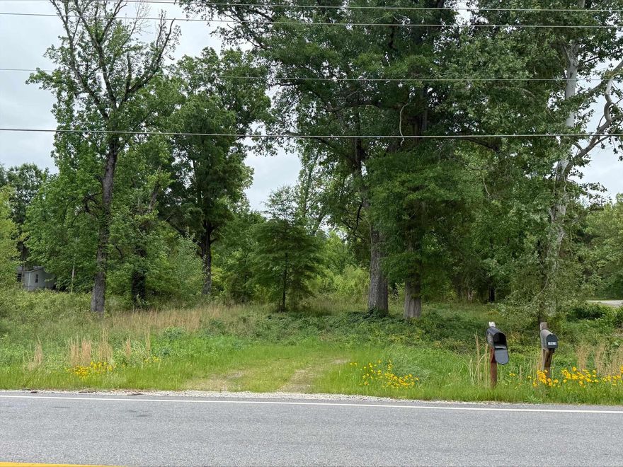 Prime opportunity at 19926 Arch Street in Little Rock! This 4-acre tract offers excellent potential for development, with convenient access to major roadways and strong visibility in a growing area. The property provides ample space for a variety of uses, making it ideal for investors, builders, or businesses looking to establish a presence in a high-demand corridor. Utilities are available nearby, adding to the ease of development. With its combination of location, size, and flexibility, this property presents a rare opportunity to bring your vision to life in Southwest Little Rock.