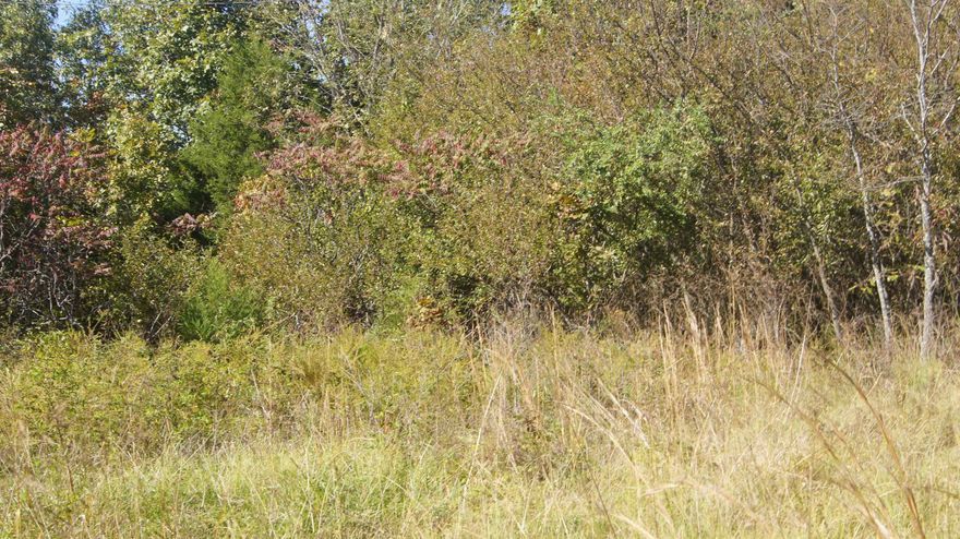 Very nice small acreage in a private location not far from town. The property is mainly wooded with plenty of wildlife for hunting! There is a well and electricity and may have septic. Priced to sell. Don’t miss out on owning your piece of the Ozarks-come take a look at this property today!