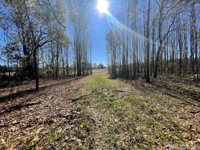 JACK FORK RIDGE - Land