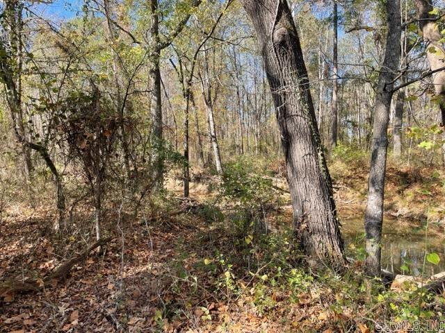 JACK FORK RIDGE - Land