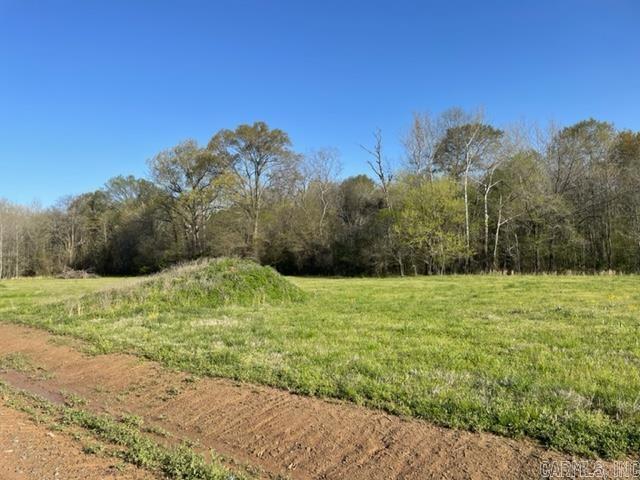 JACK FORK RIDGE - Land