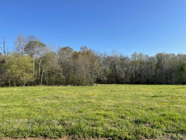 JACK FORK RIDGE - Land