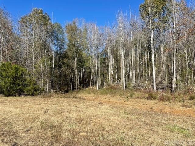 JACK FORK RIDGE - Land