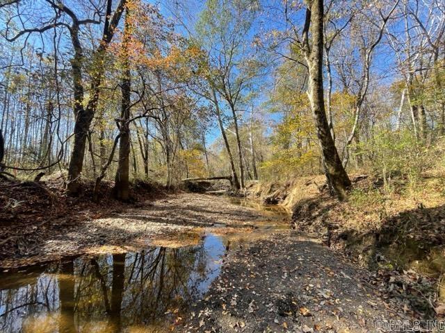 JACK FORK RIDGE - Land