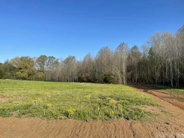 JACK FORK RIDGE - Land