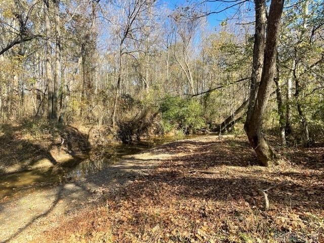 JACK FORK RIDGE - Land