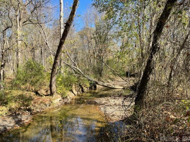 JACK FORK RIDGE - Land