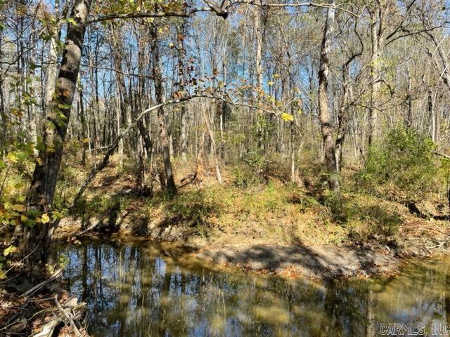 JACK FORK RIDGE - Land