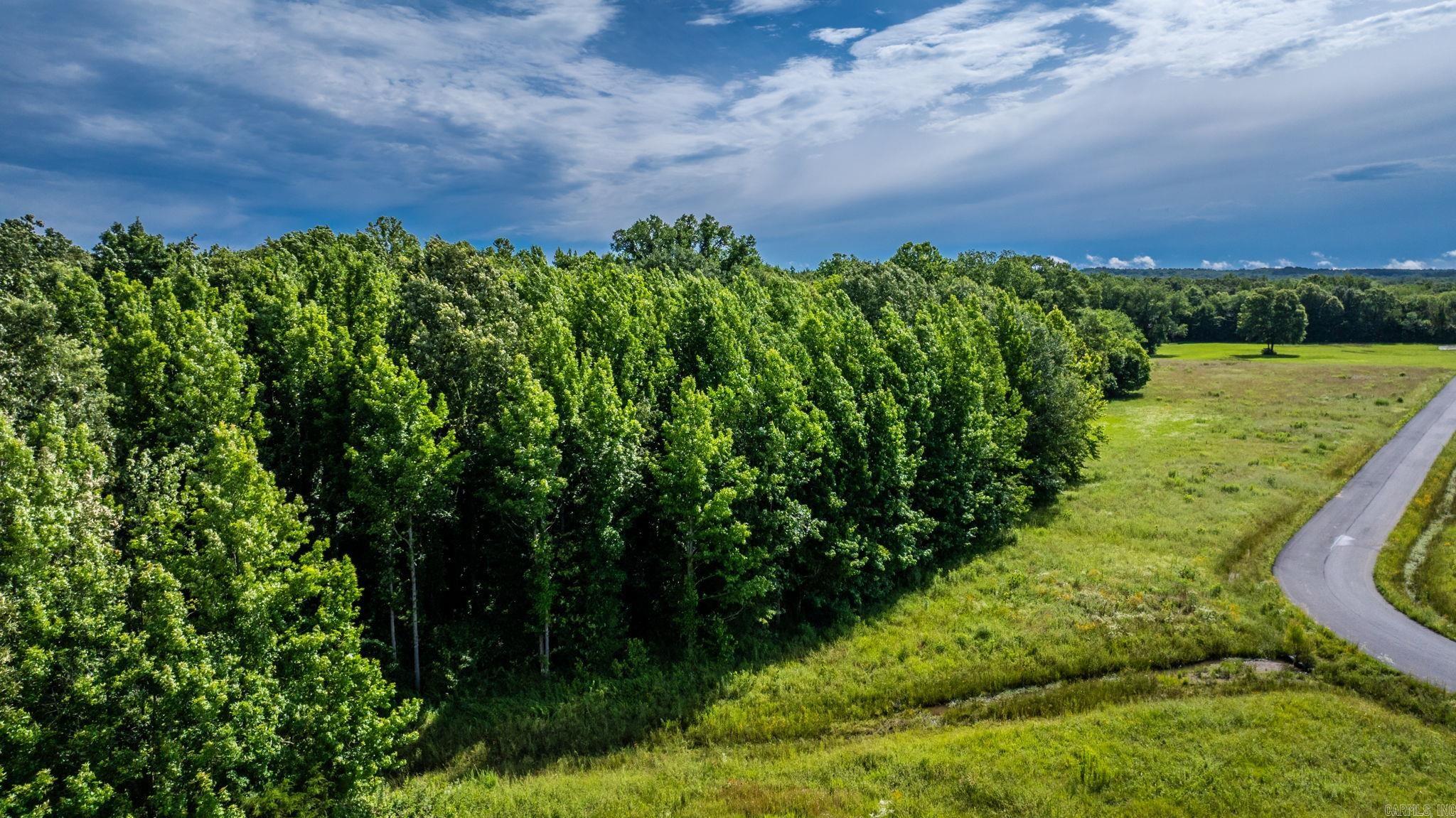 JACK FORK RIDGE - Land