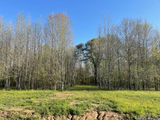 JACK FORK RIDGE - Land