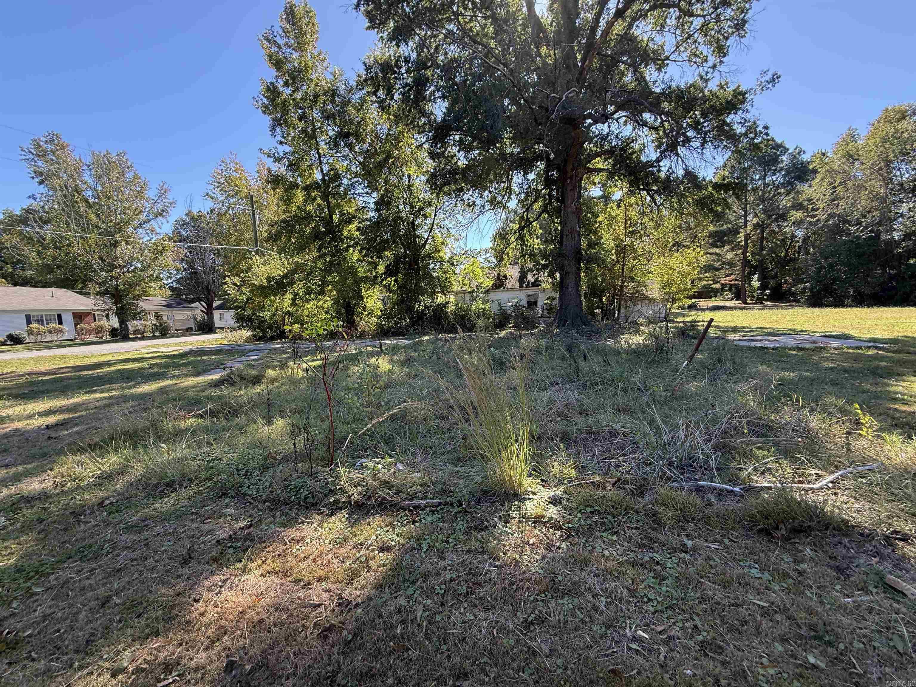 Johnson & Wiley - Land