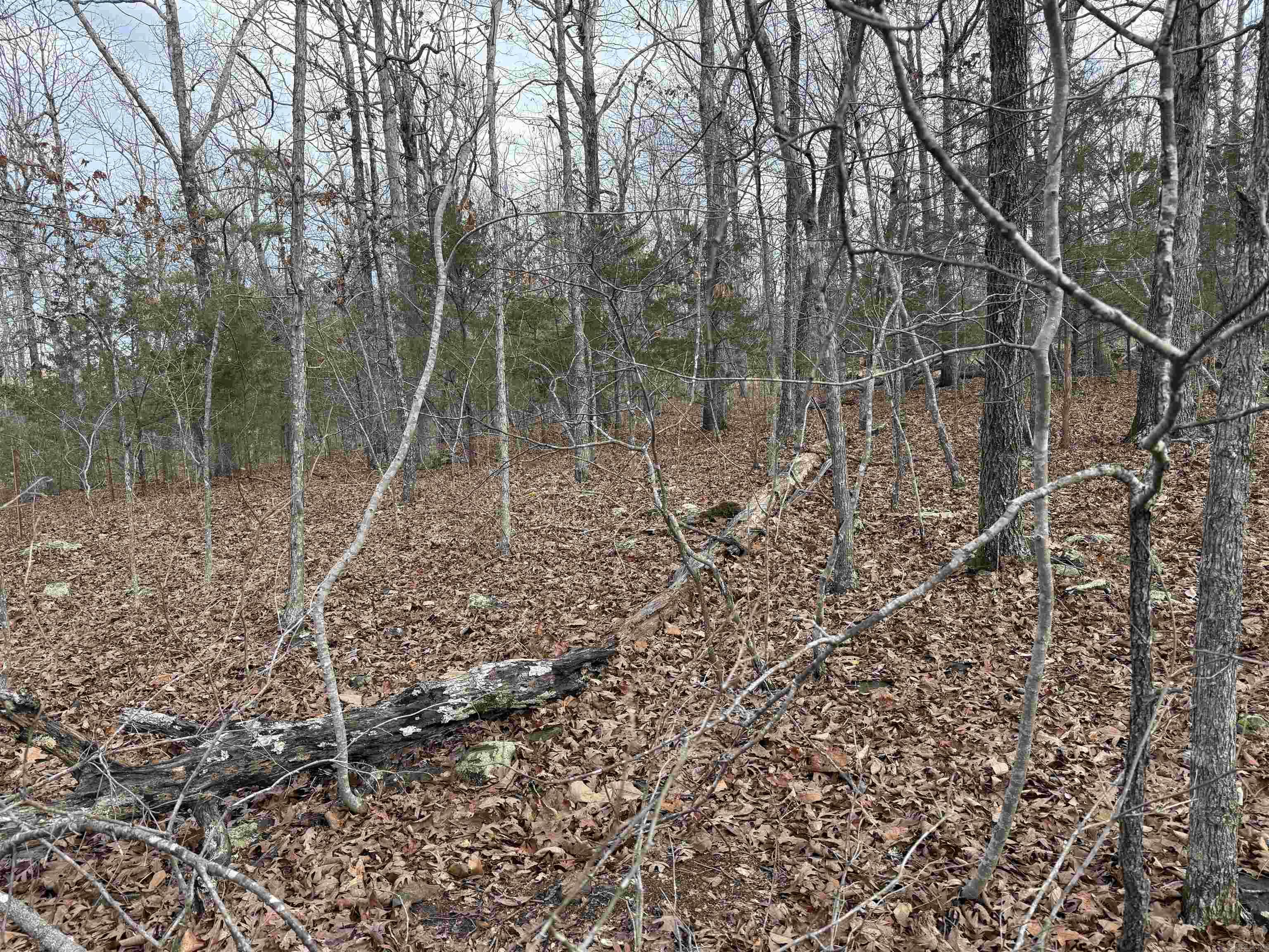 Metes & Bounds - Land