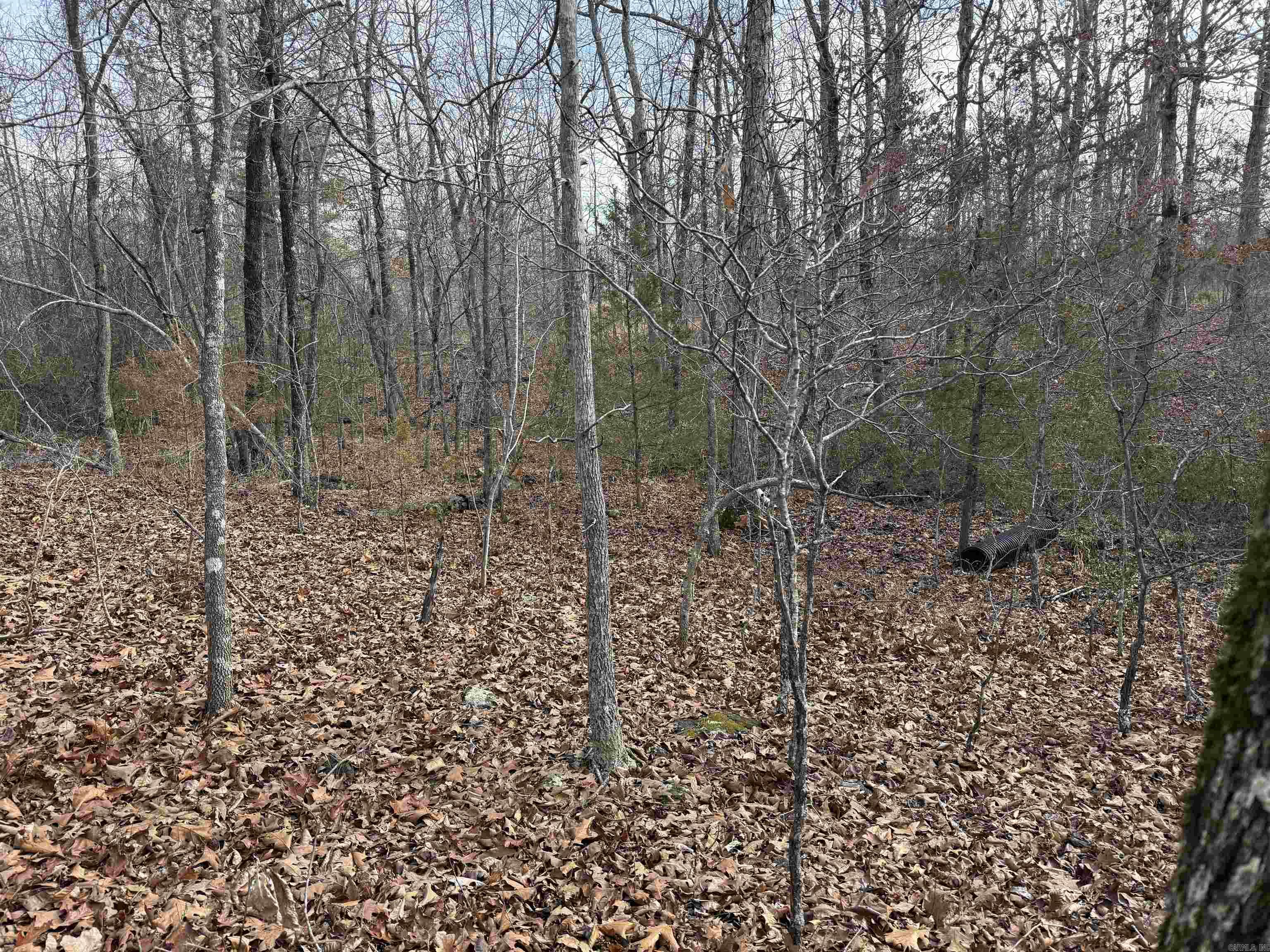 Metes & Bounds - Land