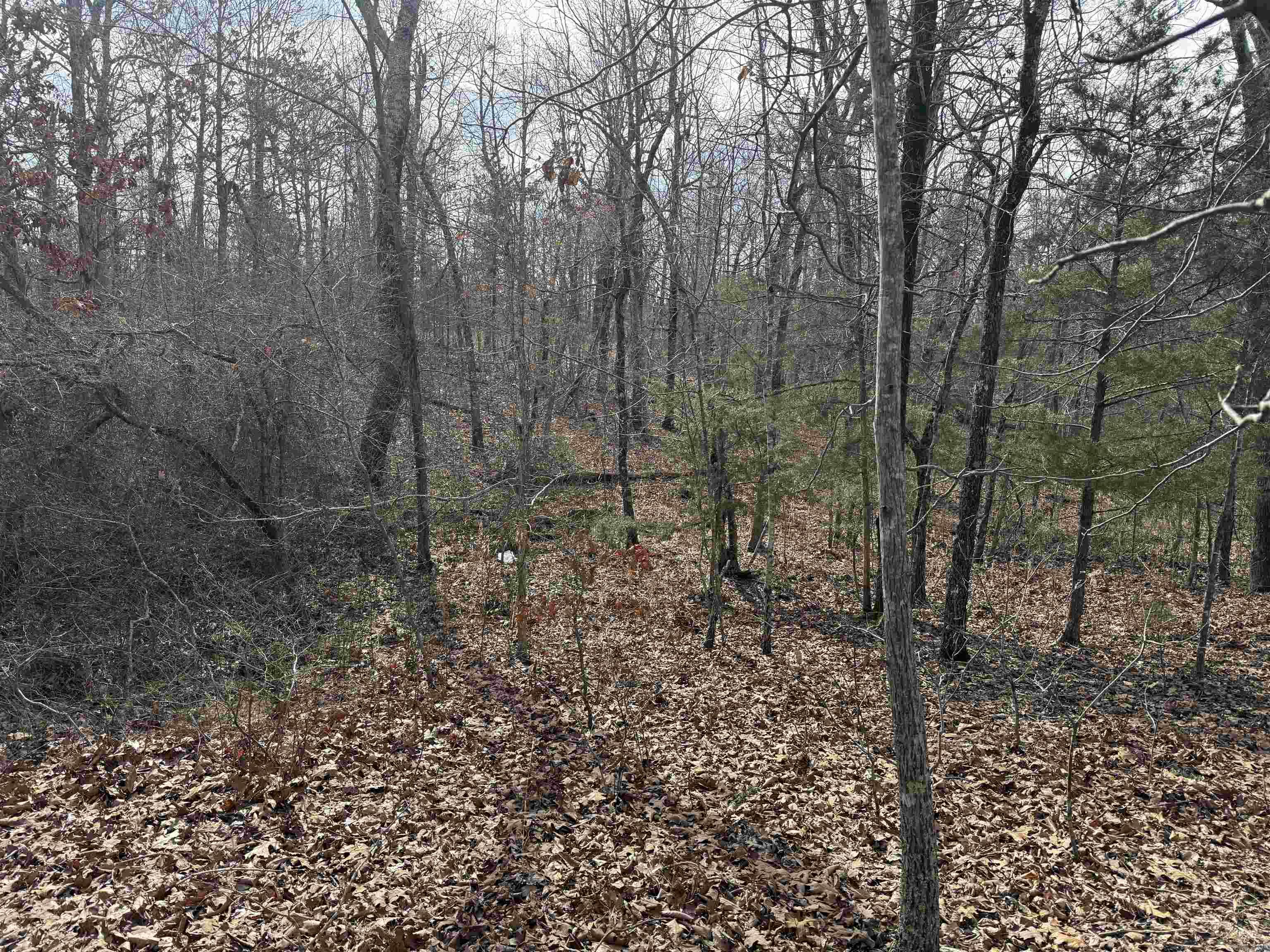 Metes & Bounds - Land