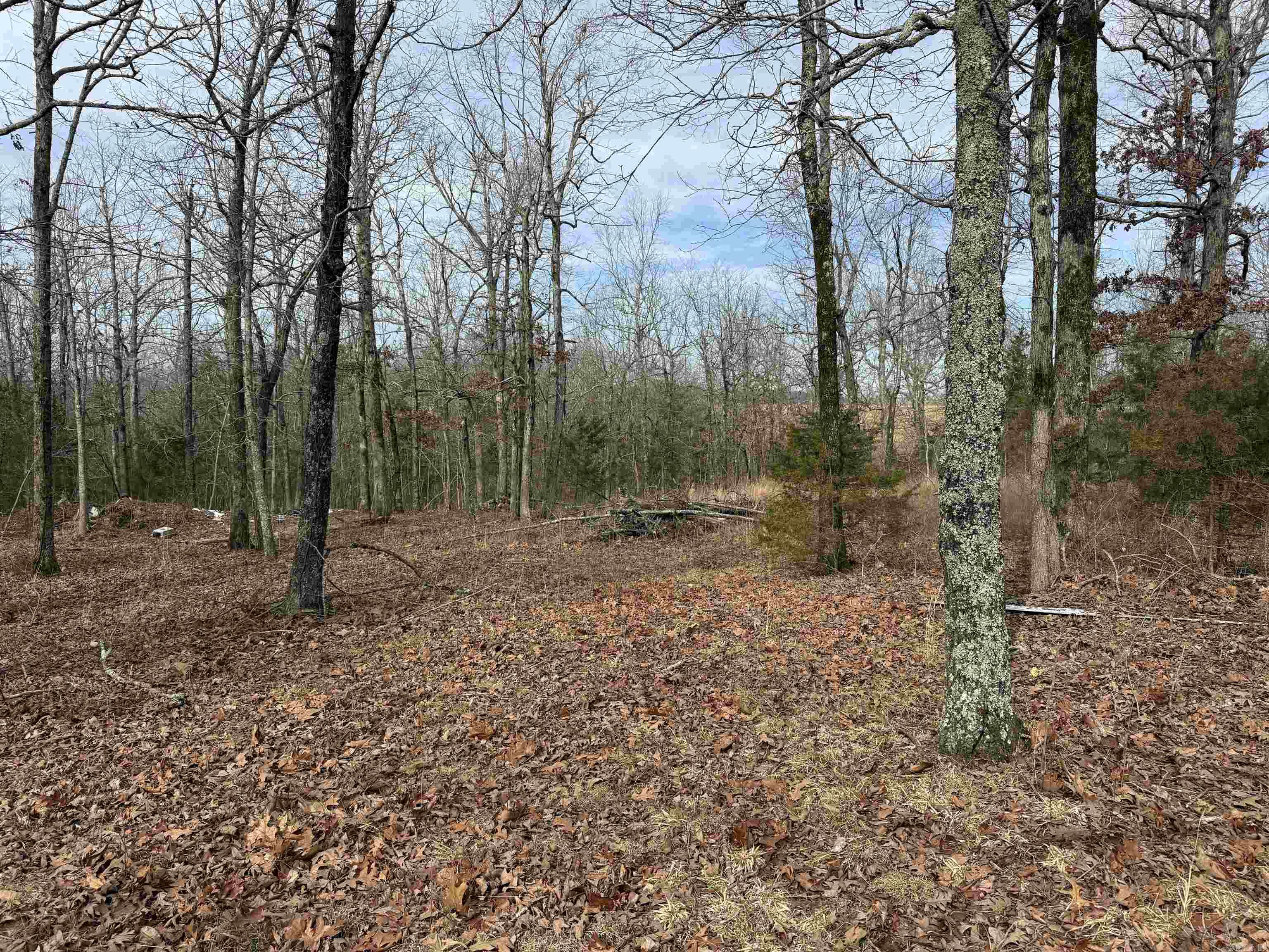 Metes & Bounds - Land