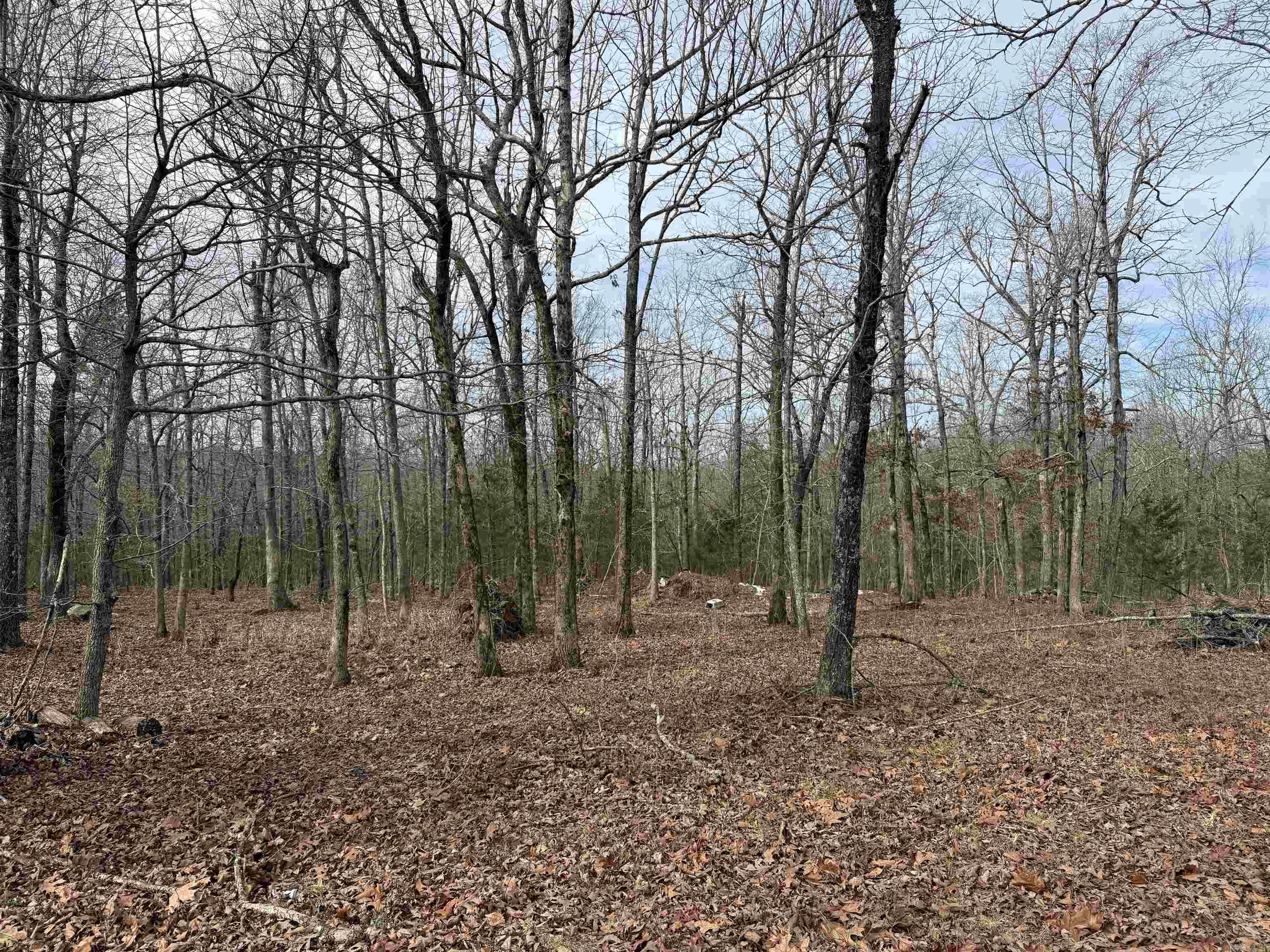 Metes & Bounds - Land