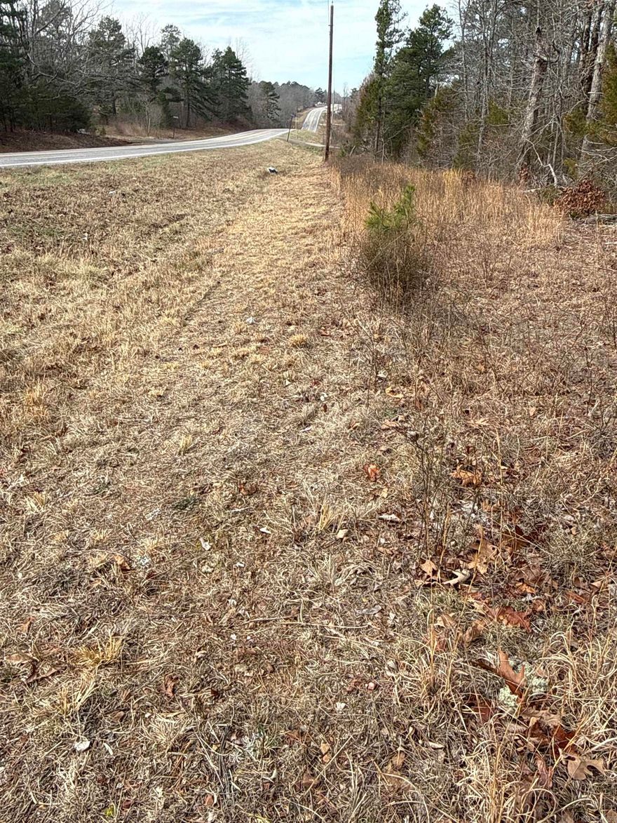 Land opportunity located at 150 & 147 Blue Mountain Ln, Alco, AR in Searcy County offering approximately 5.95 acres with excellent access and development potential. The property features frontage on Highway 66 as well as Blue Mountain Lane and is divided into two parcels, providing flexibility for homesites, cabins, or possible RV park development. Utilities are available with electricity and high-speed fiber internet, plus the convenience of both a private well and public water. A beautiful pond creates a peaceful setting and an ideal location for a cabin or country home overlooking the water. Conveniently located between historic Leslie and Mountain View, Arkansas, this property offers easy access to Ozarks recreation, scenic countryside, and small-town charm. Great opportunity for investment, development, or a relaxing Ozarks retreat.