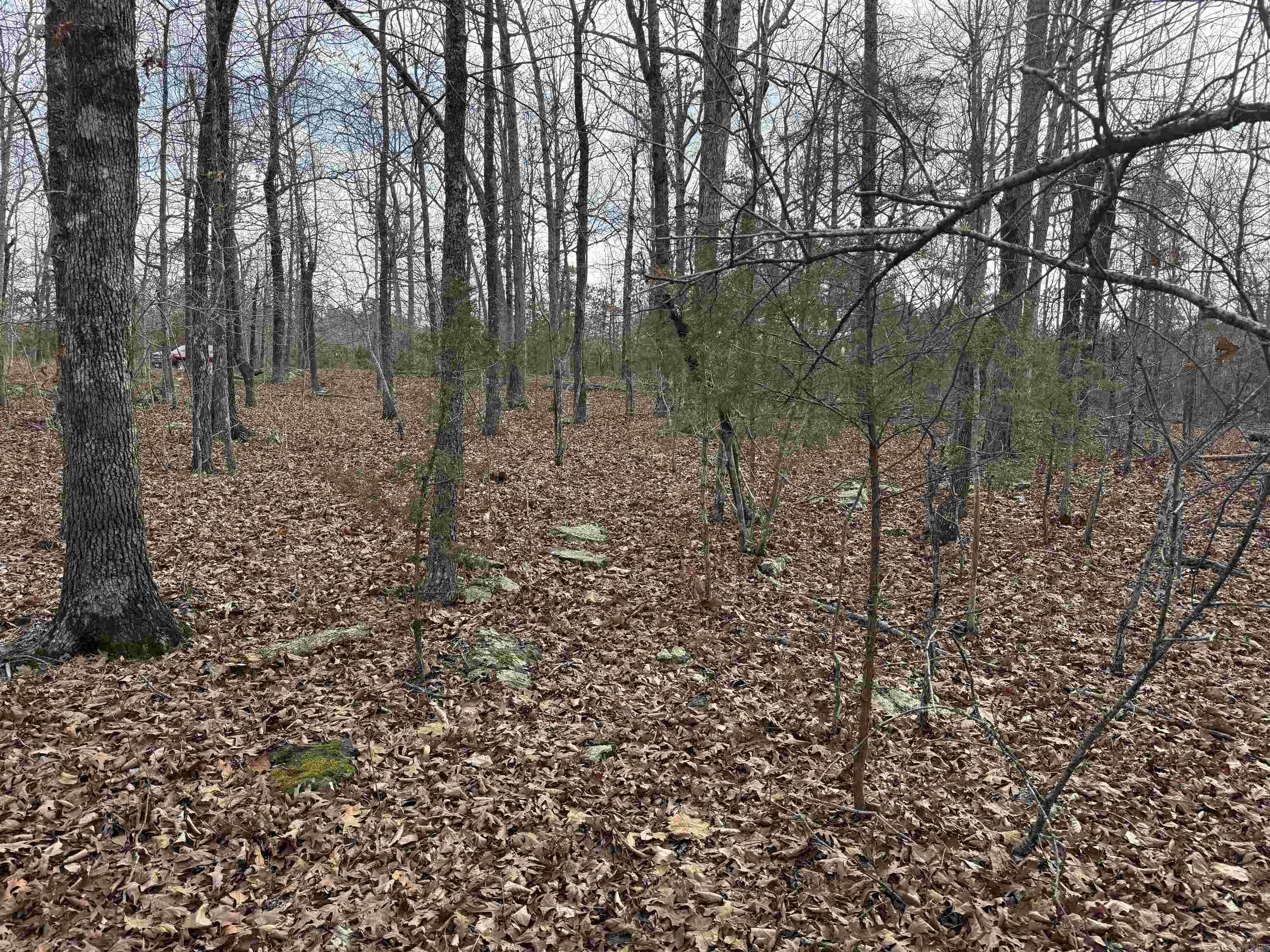 Metes & Bounds - Land