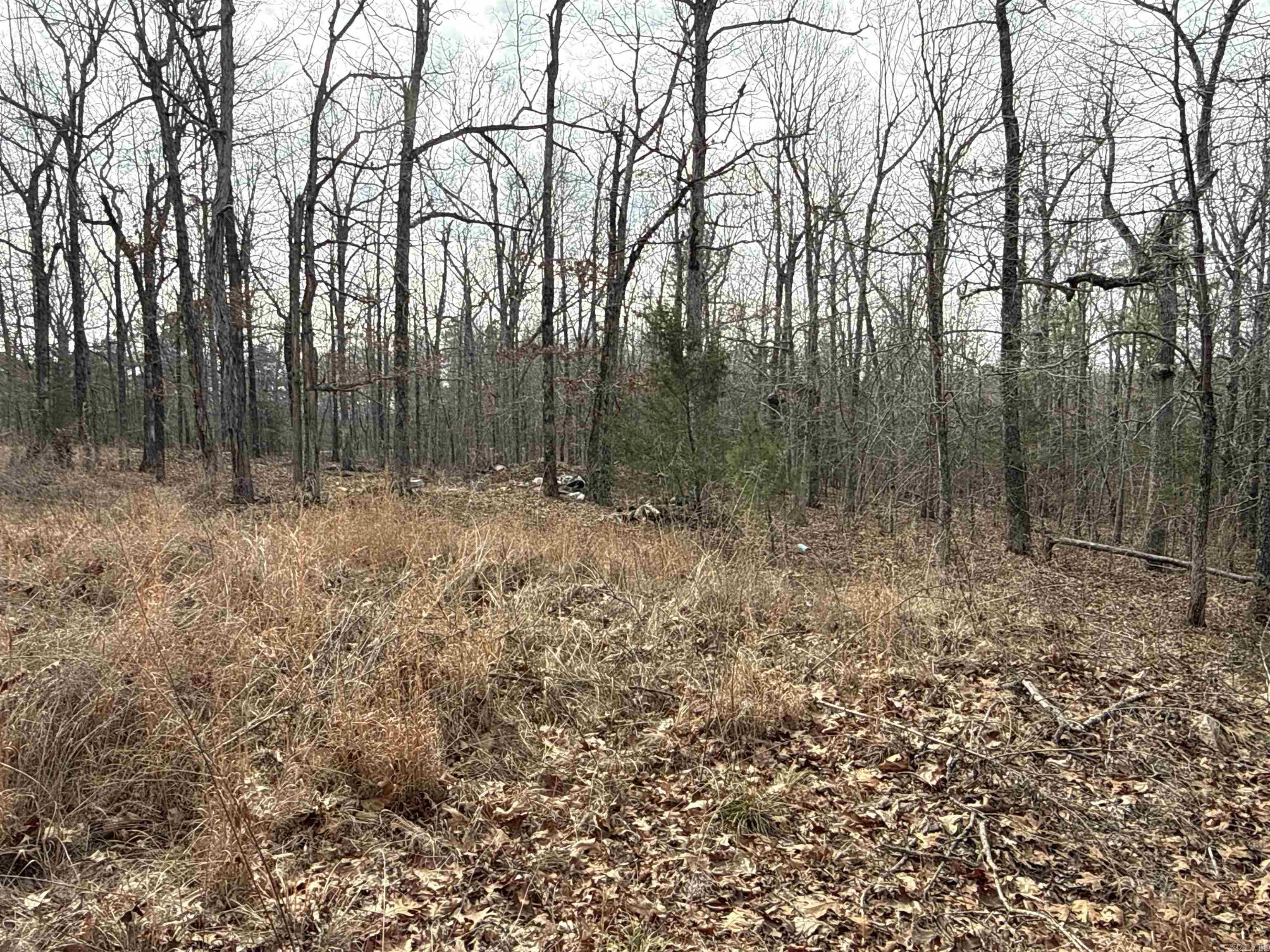 Metes & Bounds - Land