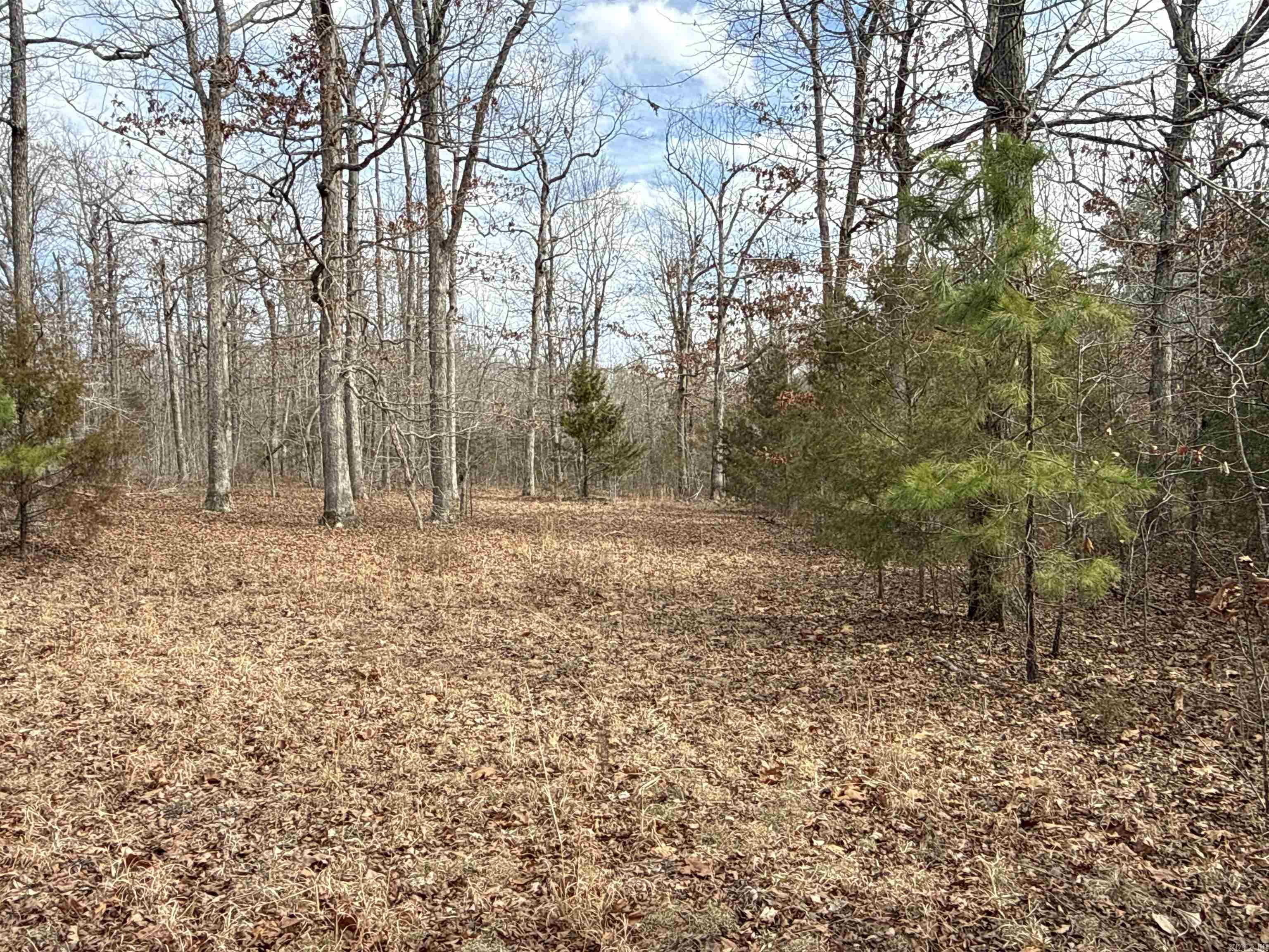 Metes & Bounds - Land