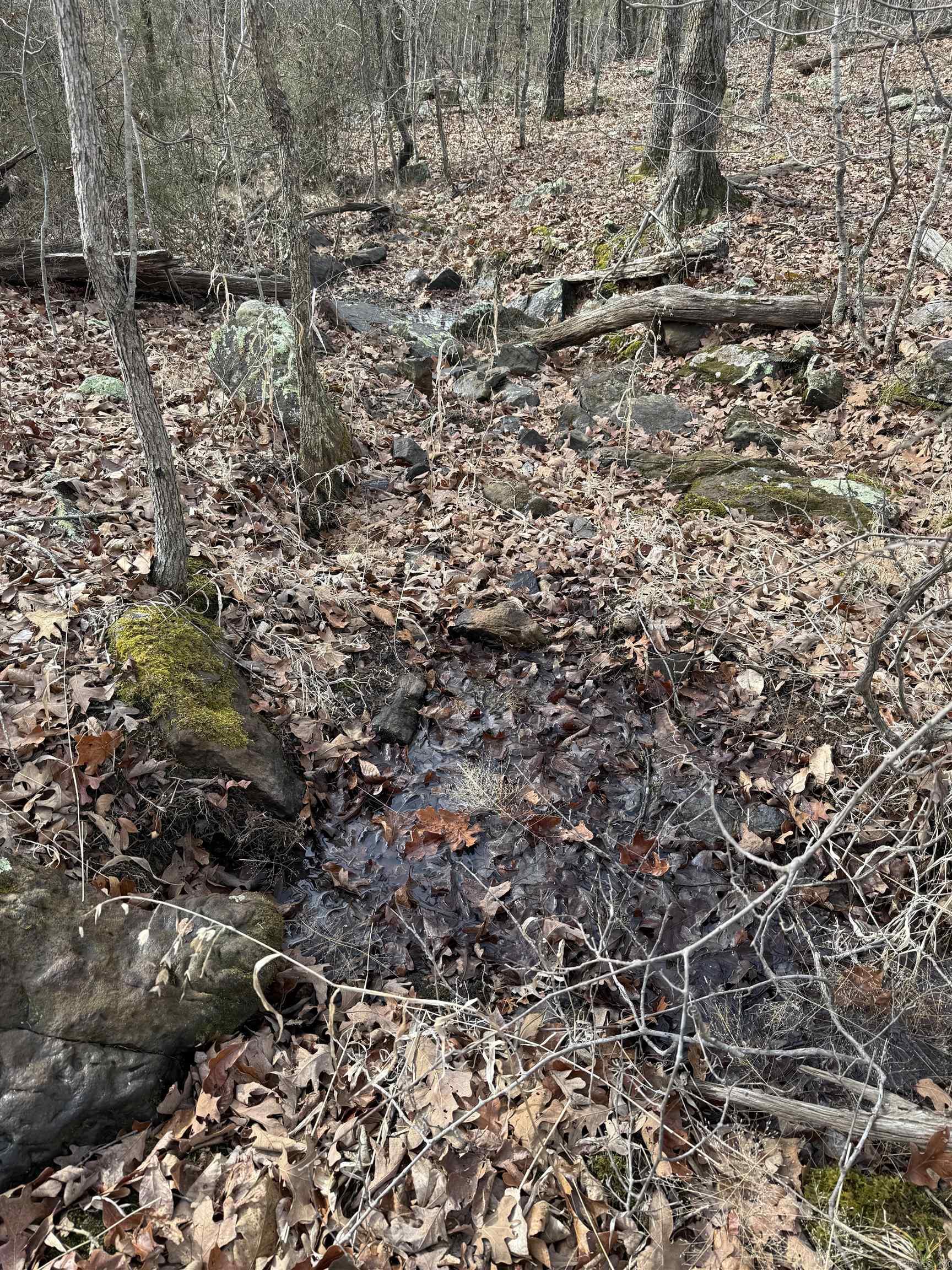 Metes & Bounds - Land