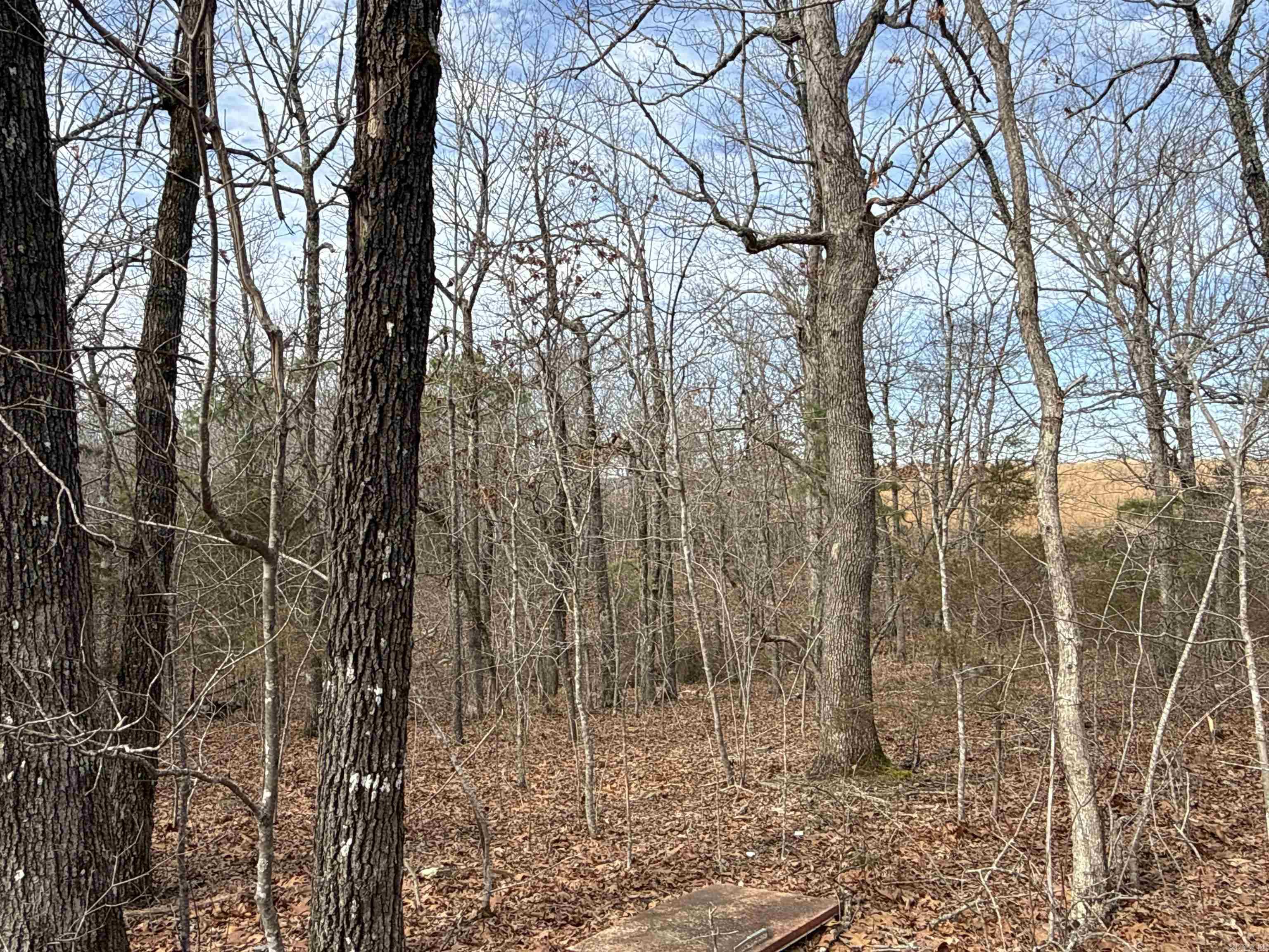 Metes & Bounds - Land