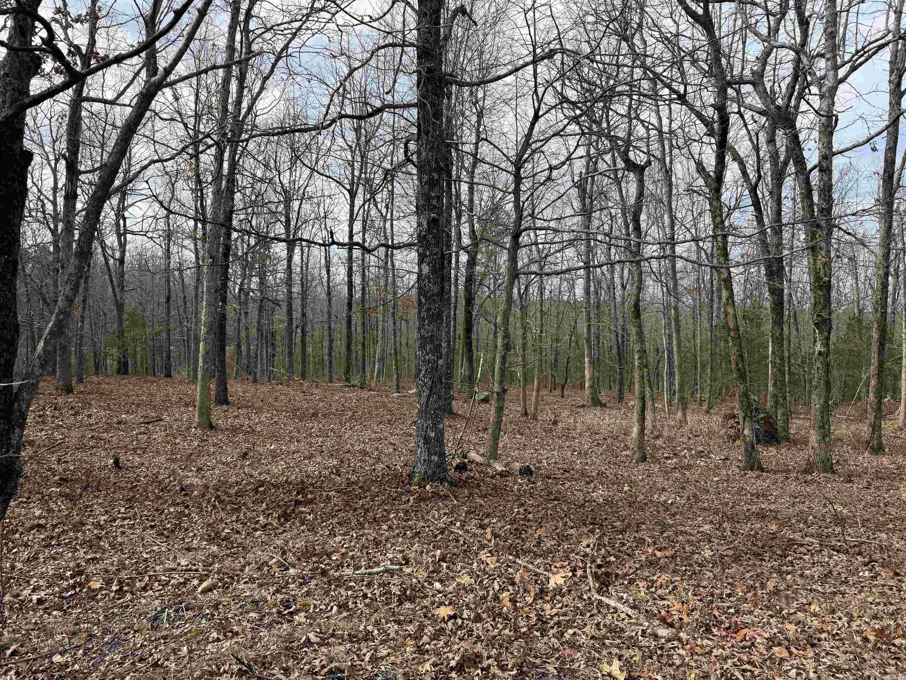 Metes & Bounds - Land