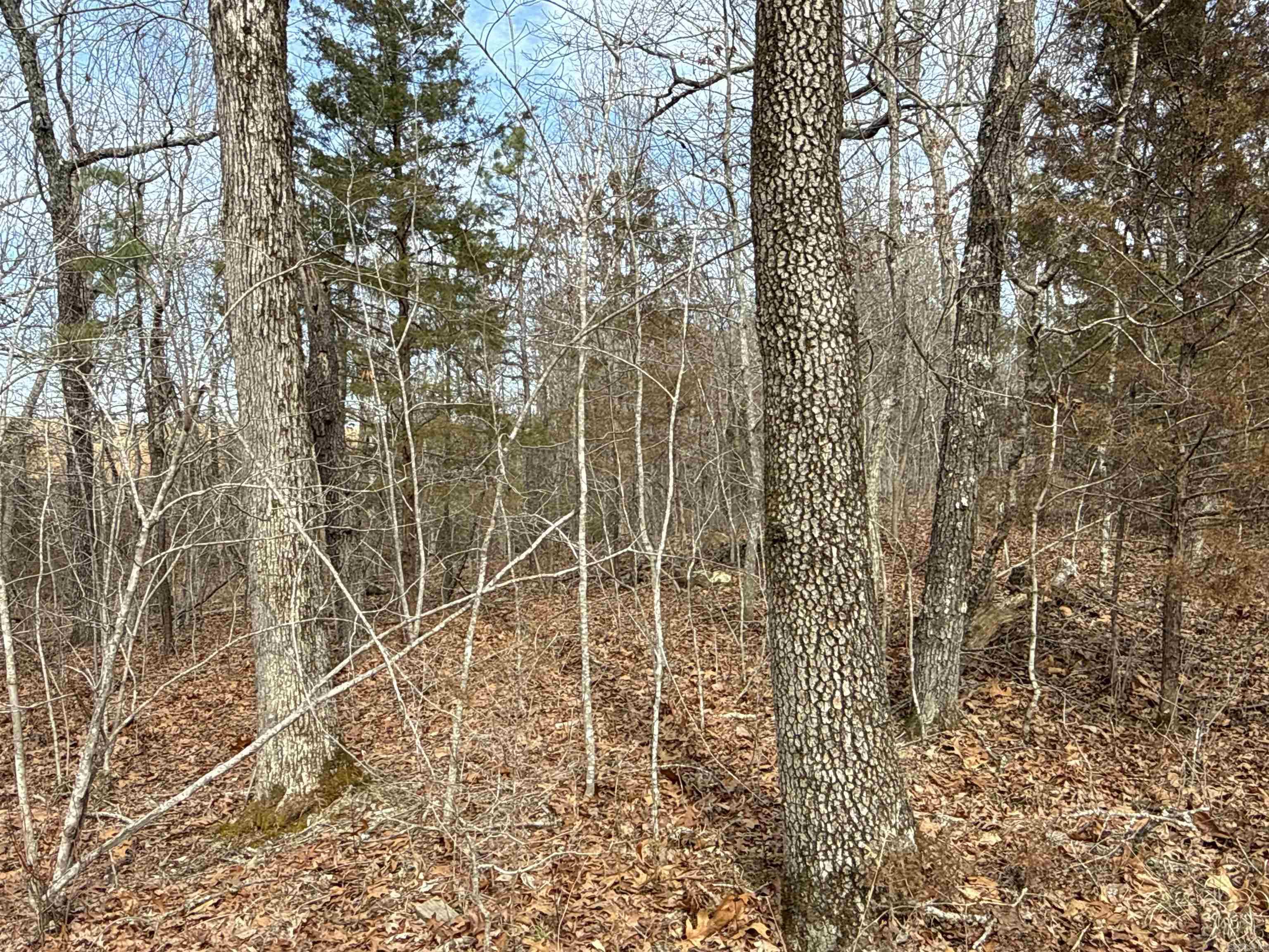 Metes & Bounds - Land