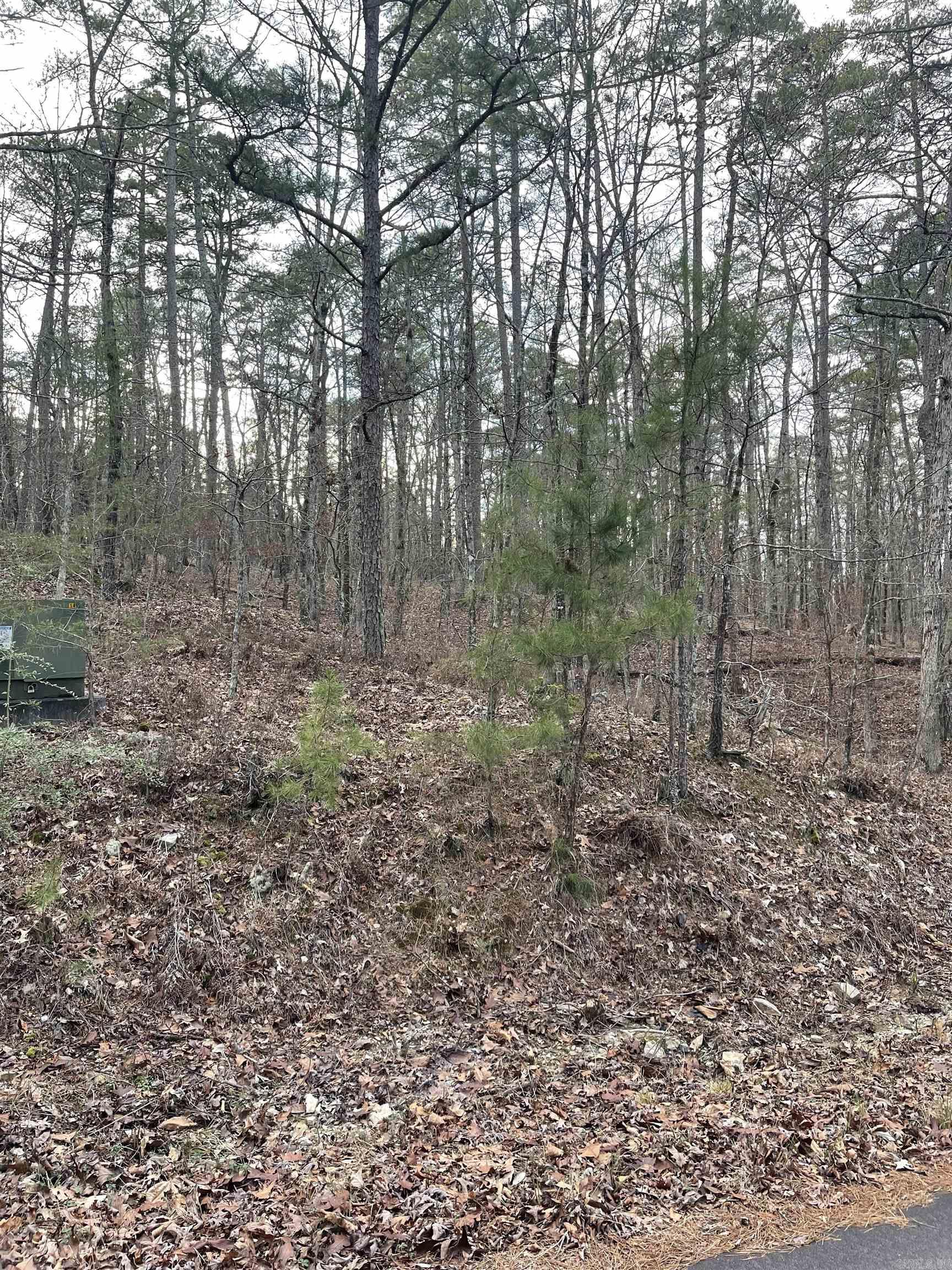 Beautiful wooded lot just a golf cart ride from Coronado Golf Course with access to 8 other courses, 11 lakes including a white sand beach, 2 marinas, pickle ball courts, play ground, fine arts auditorium, and much more. Located in the Ouachita Mountains, Hot Springs Village is the largest gated community in the US.First time buyers will have a $300 fee made payable to the POA at closing.