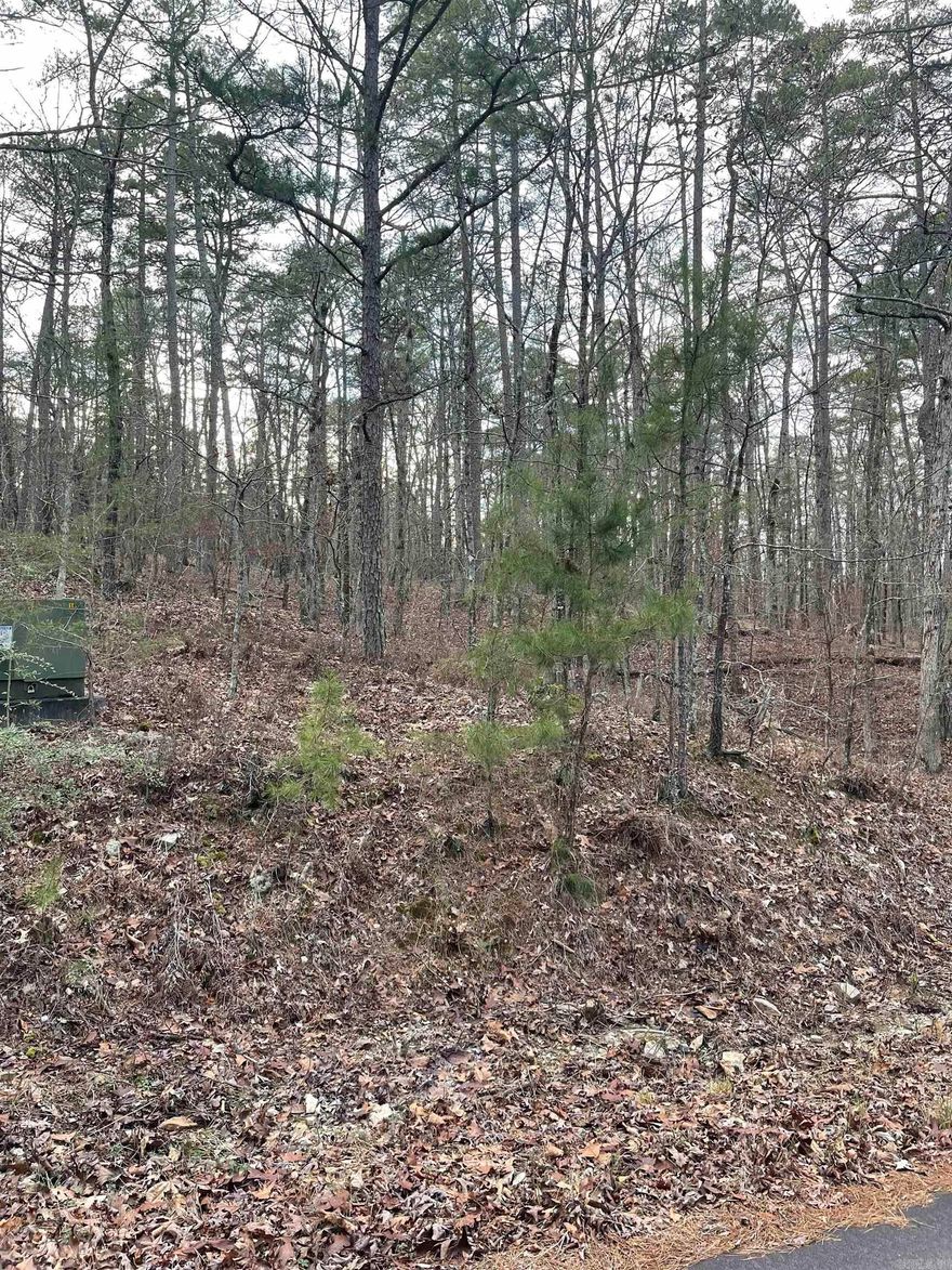Beautiful wooded lot just a golf cart ride from Coronado Golf Course with access to 8 other courses, 11 lakes including a white sand beach, 2 marinas, pickle ball courts, play ground, fine arts auditorium, and much more.  Located in the Ouachita Mountains, Hot Springs Village is the largest gated community in the US.First time buyers will have a $300 fee made payable to the POA at closing.